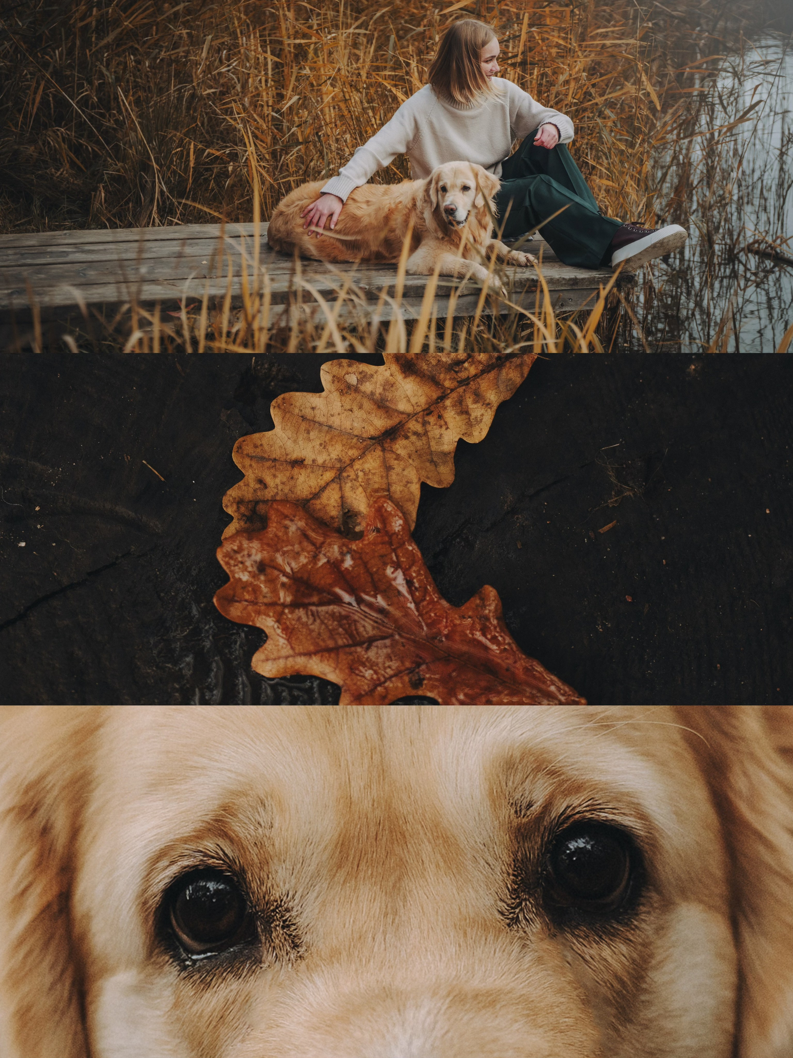 Анастасия и Айза. Фотограф анималист в Москве и Санкт-Петербурге Свиридова Анна