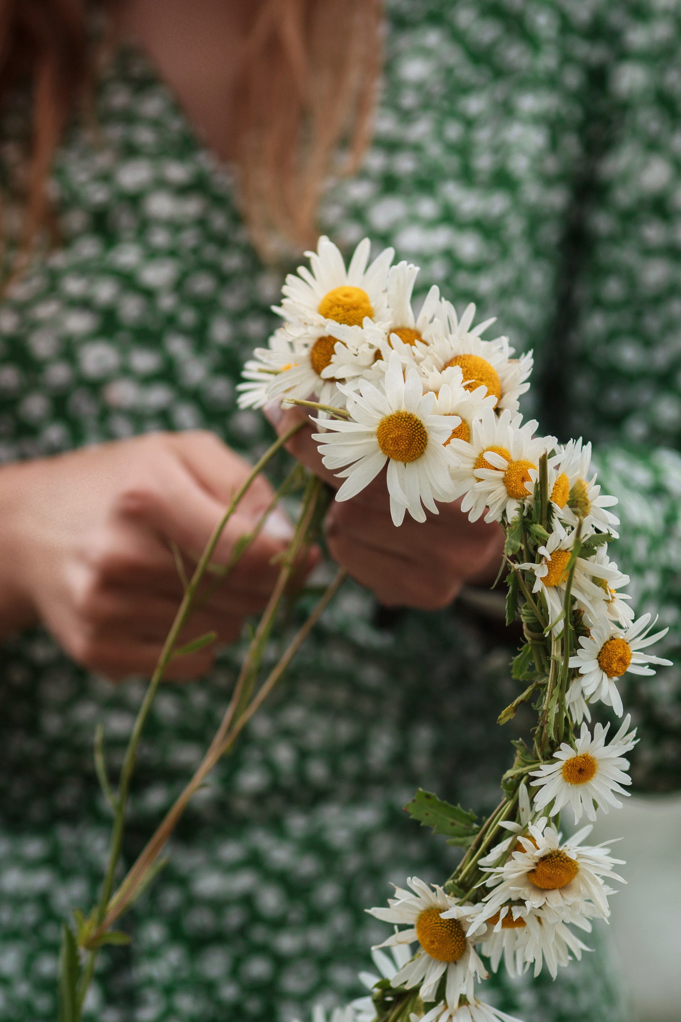 Ромашковое поле — Елизавета. Фотограф Ставрополь Пятигорск Елизавета Дарина