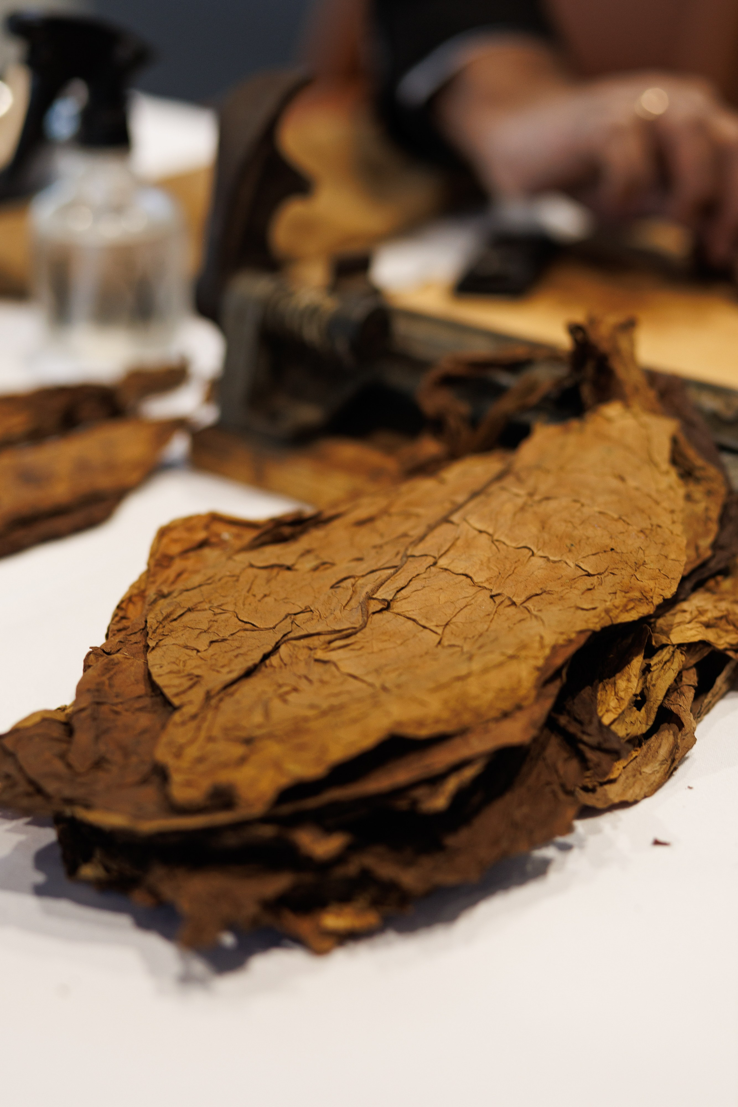 Открытие автосалон Exeed. Https://andreysolodov.ru