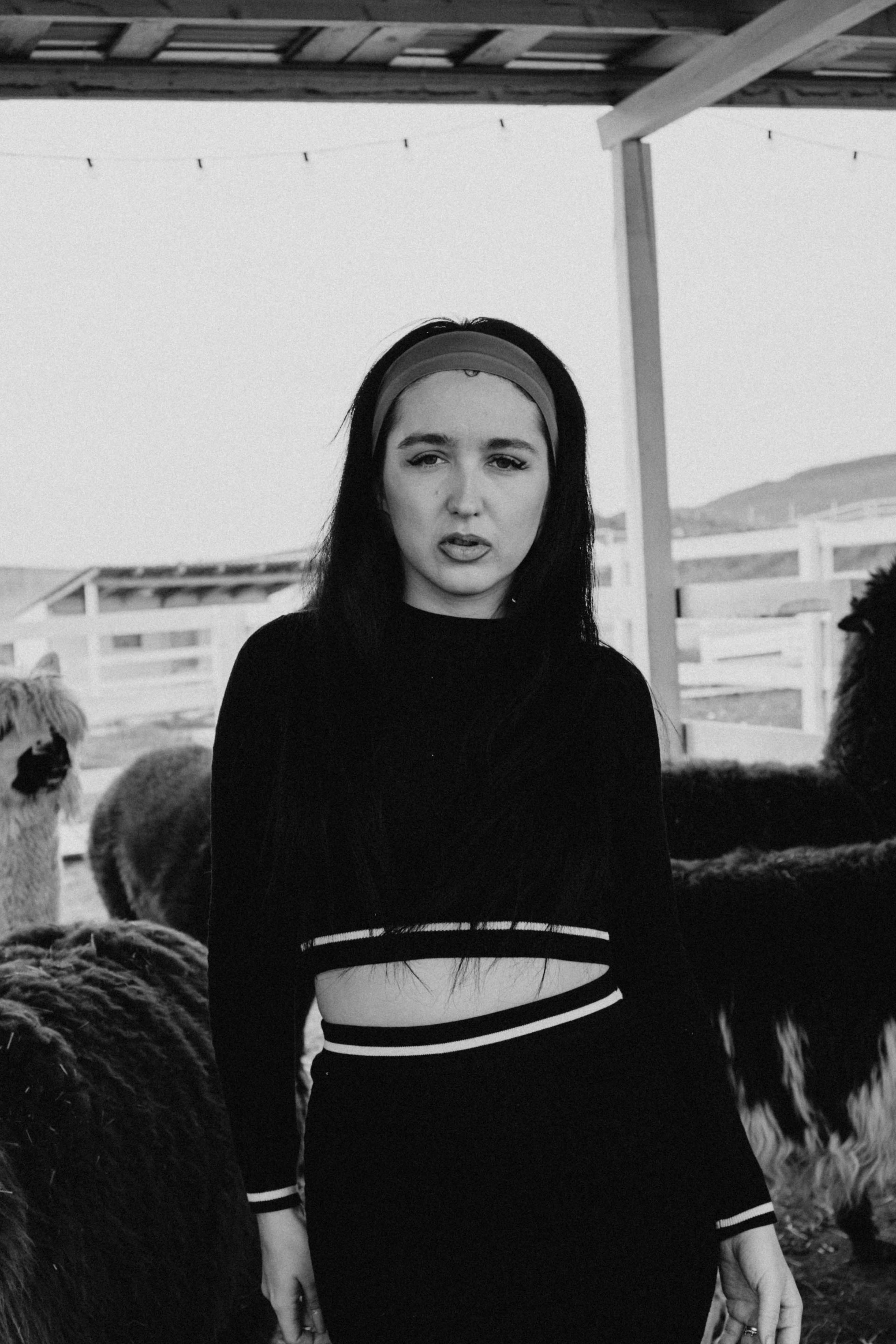 Ферма Альпак. Профессиональный фотограф, Санкт-Петербург — Виктория Богомолова