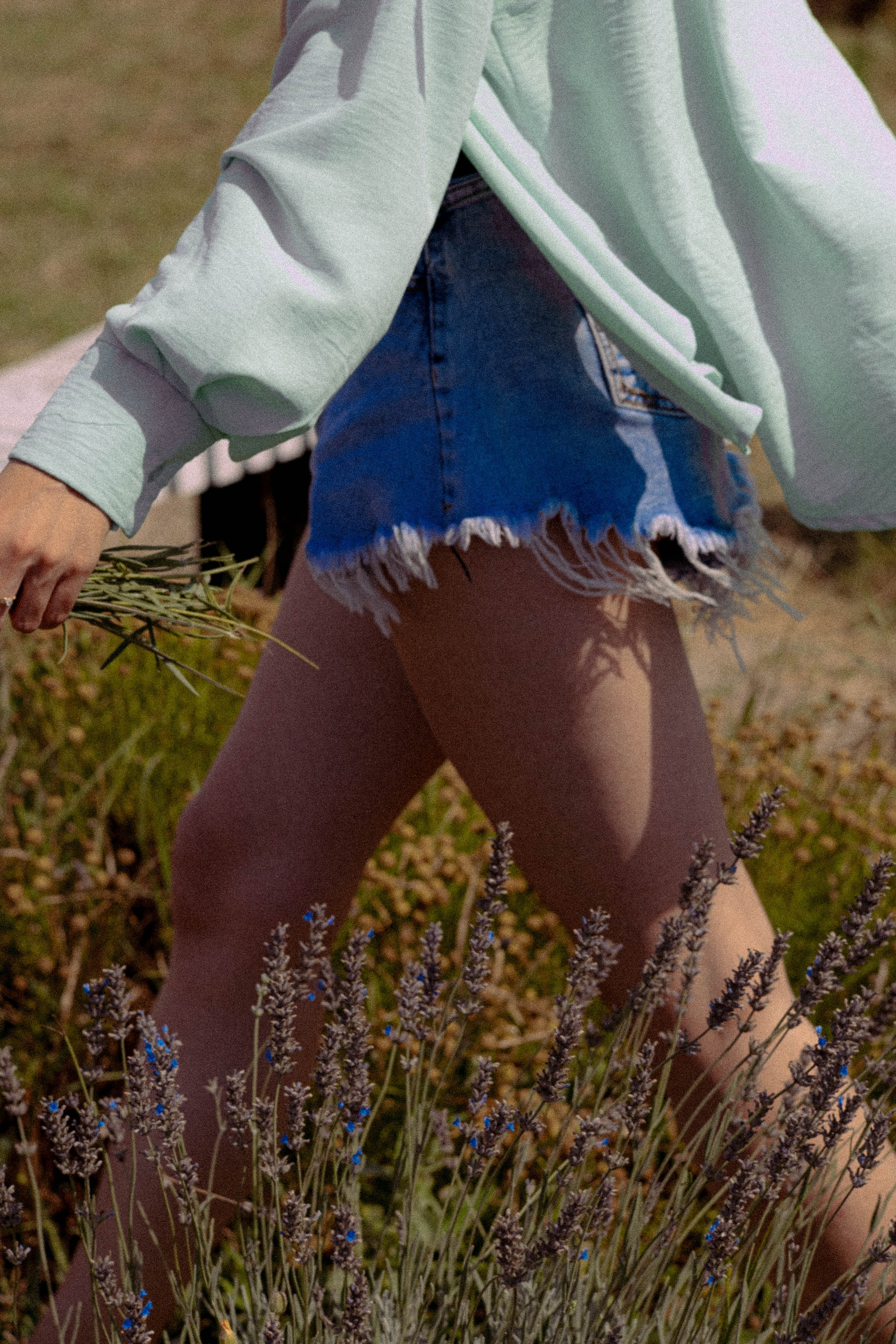 ЛАВАНВОДОВОЕ ПОЛЕ. Профессиональный фотограф, Санкт-Петербург — Виктория Богомолова