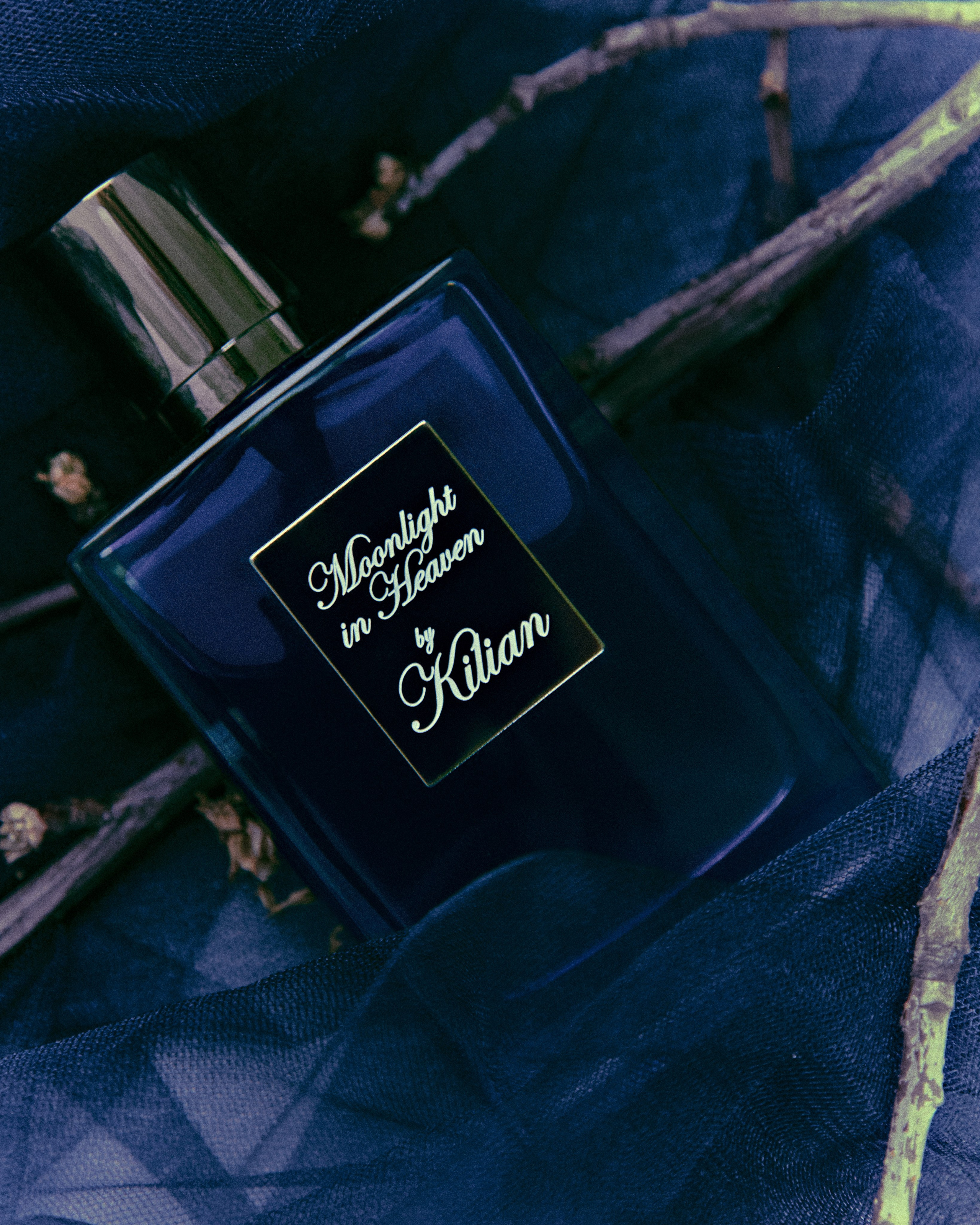 BRAND. GREBELINII.RU — Фотограф & AI-креатор, Краснодар