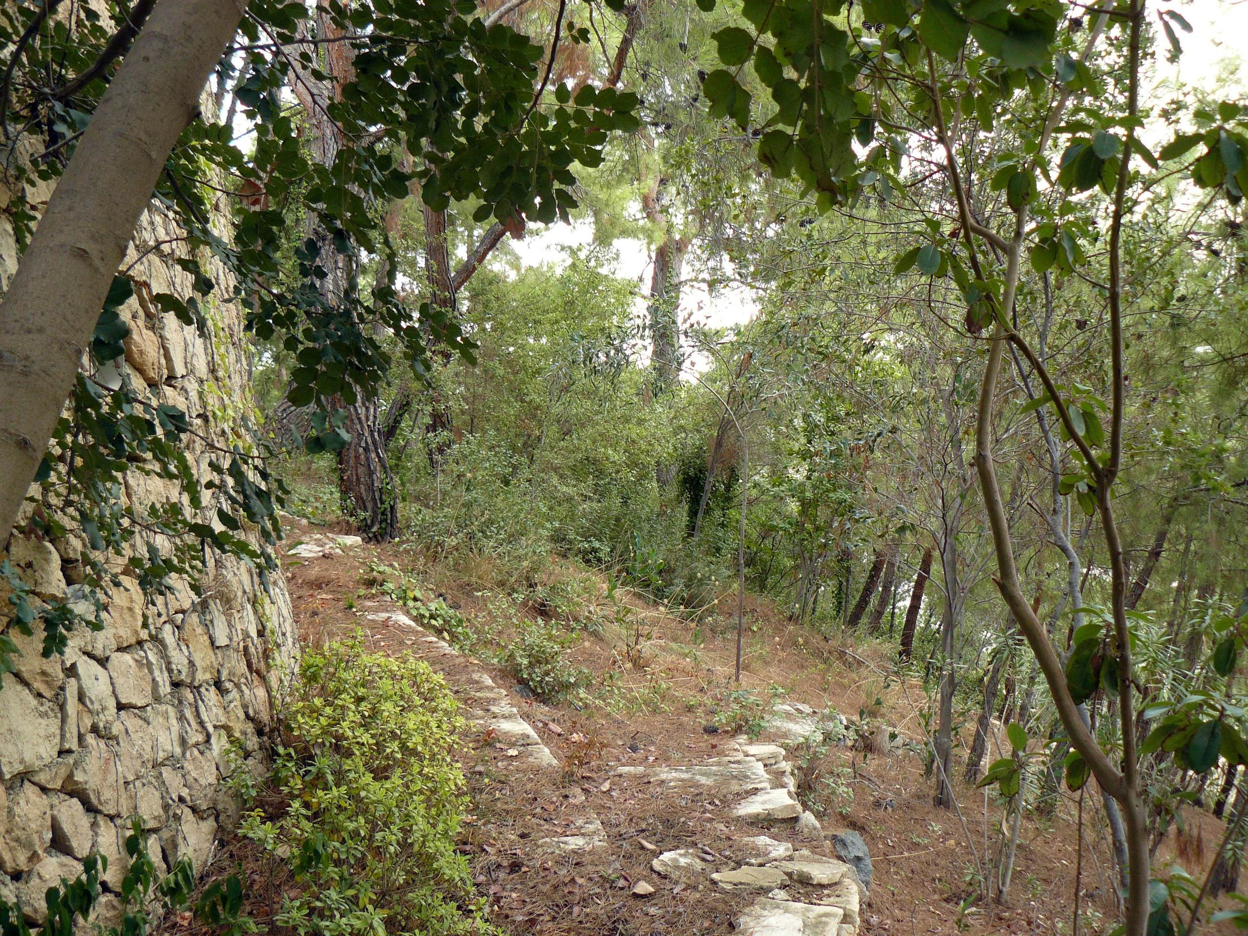 Кемер, Чамьюва 2008. Избранные фотографии