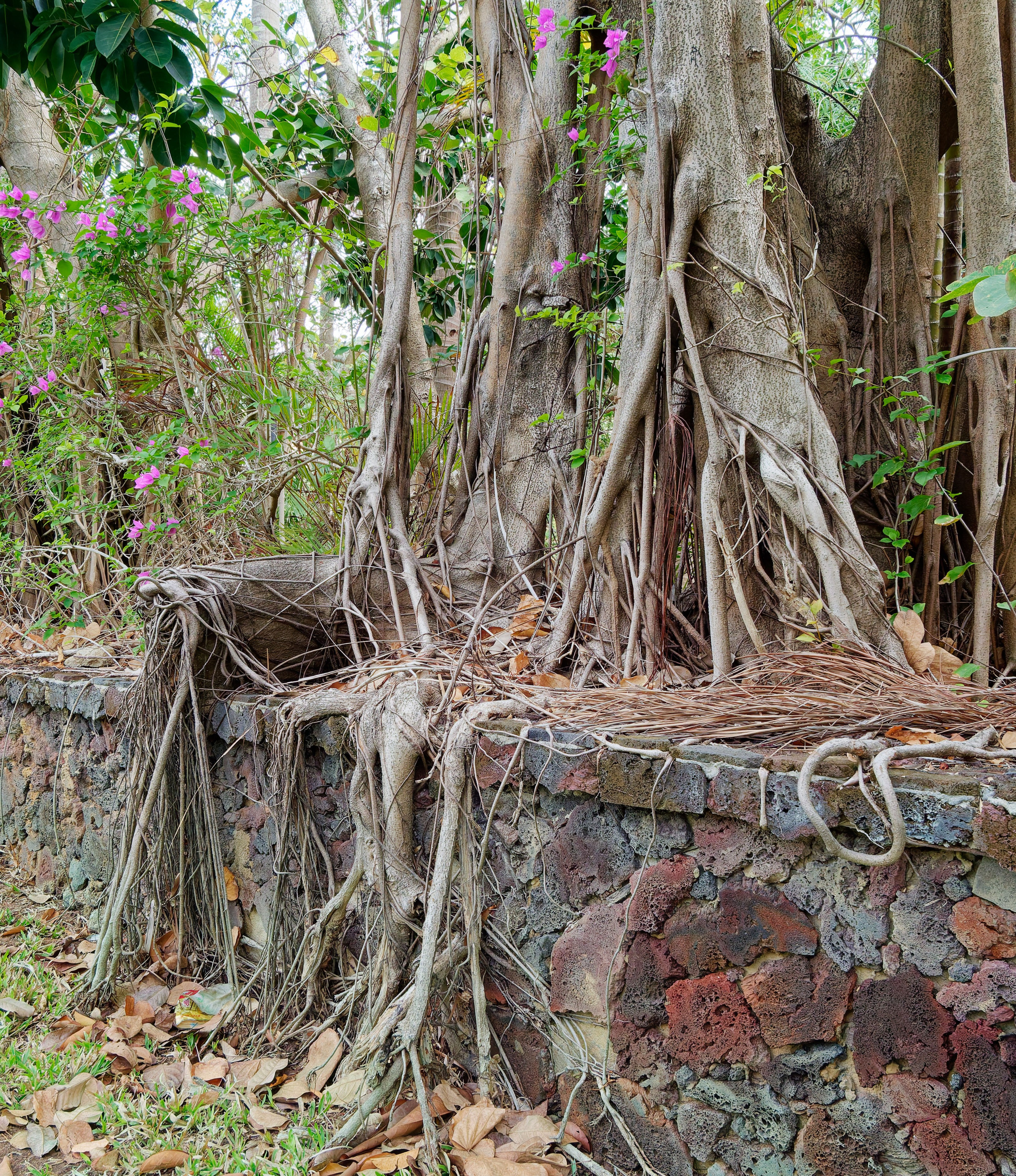 Хайнань 2026, улицы Ялунвань и Саньи. Фотопрогулки по Миру