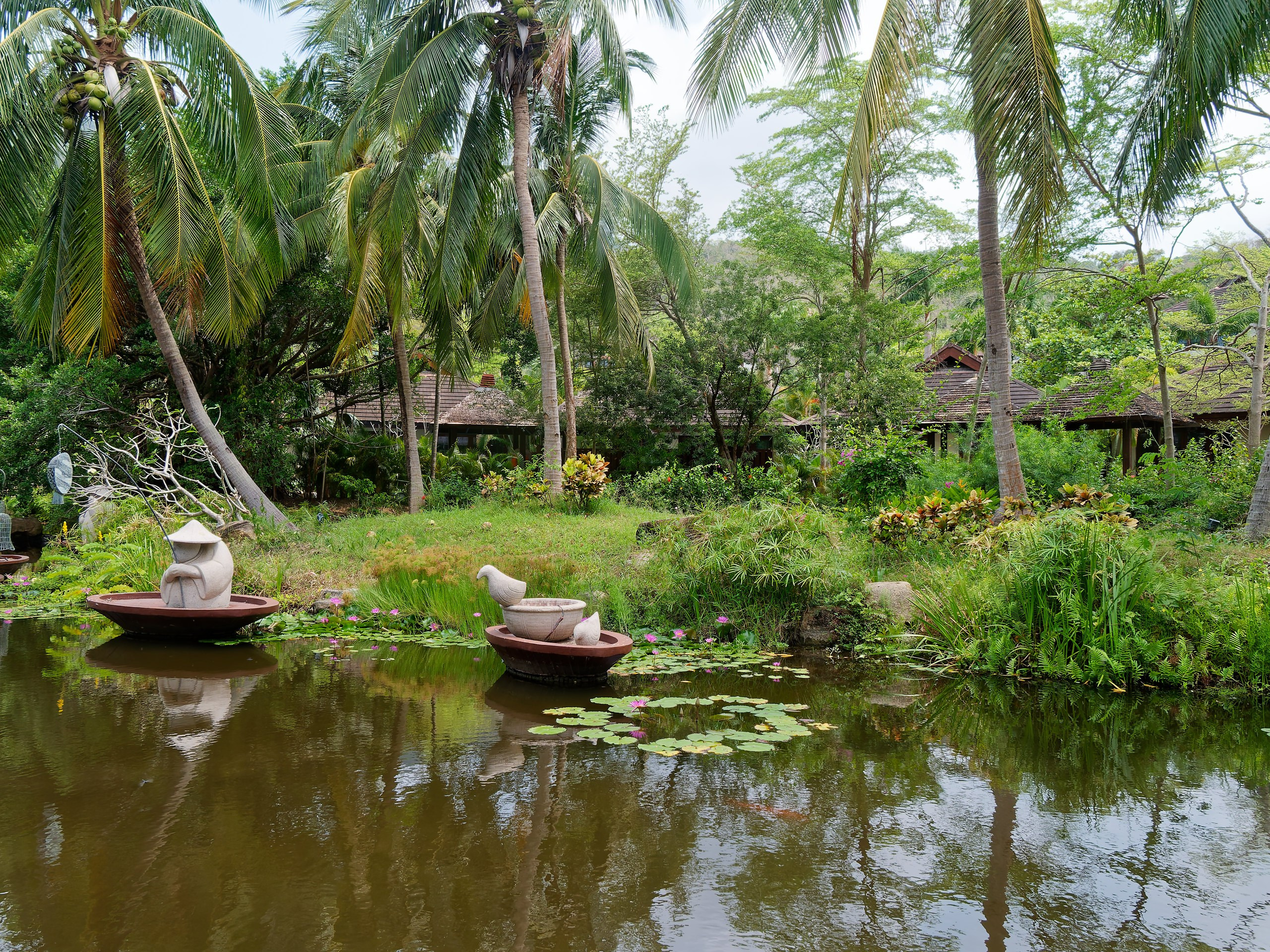 Хайнань 2026, флора, цветы и деревья. Фотопрогулки по Миру