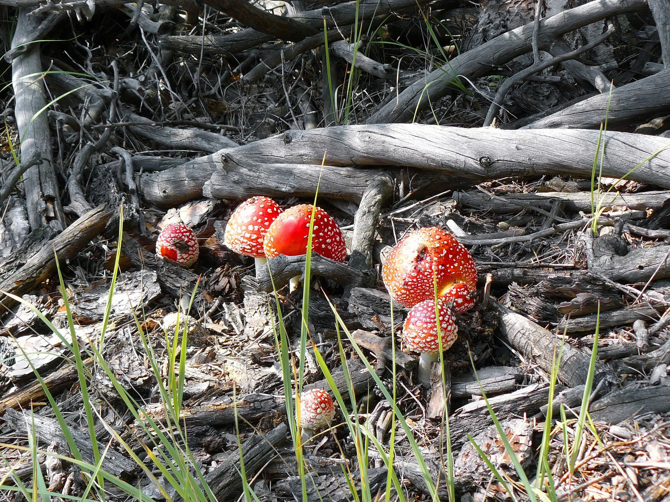 Боровое 2018 (из архива). Избранные фотографии