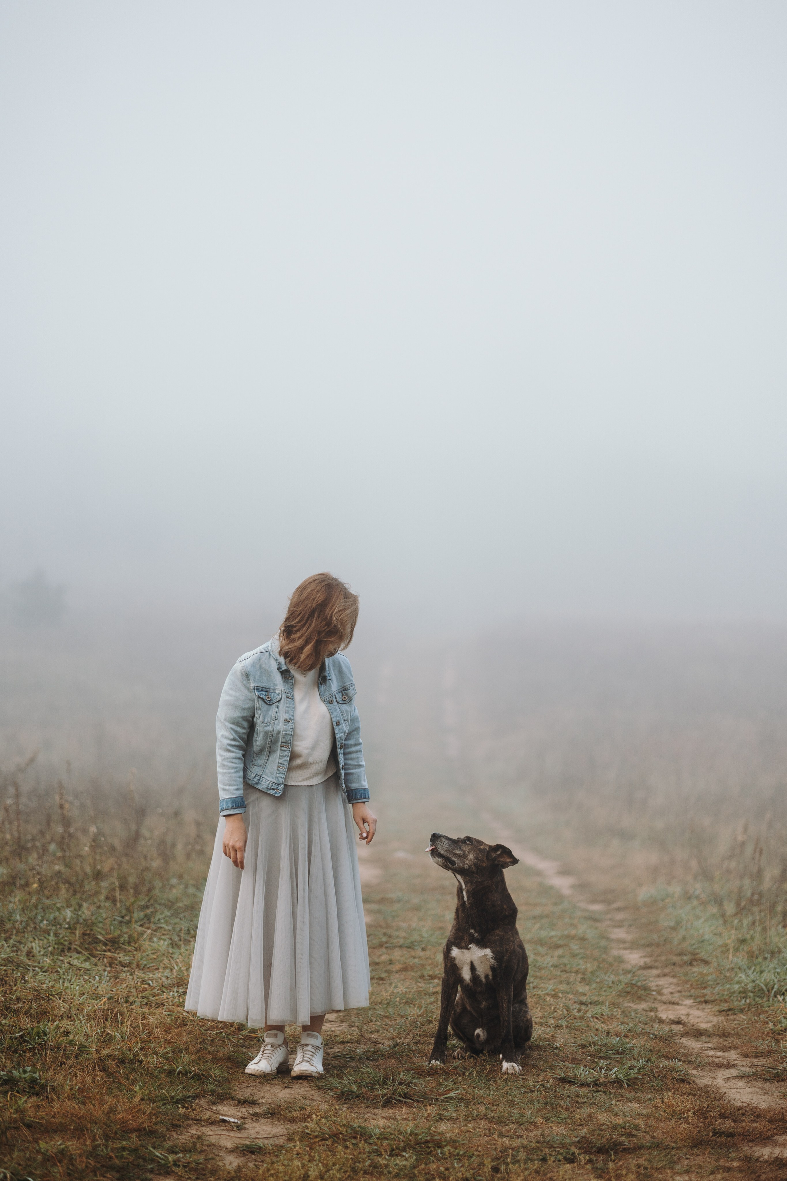 Любовь и ее хвостики. Фотограф — Анималист | Санкт-Петербург