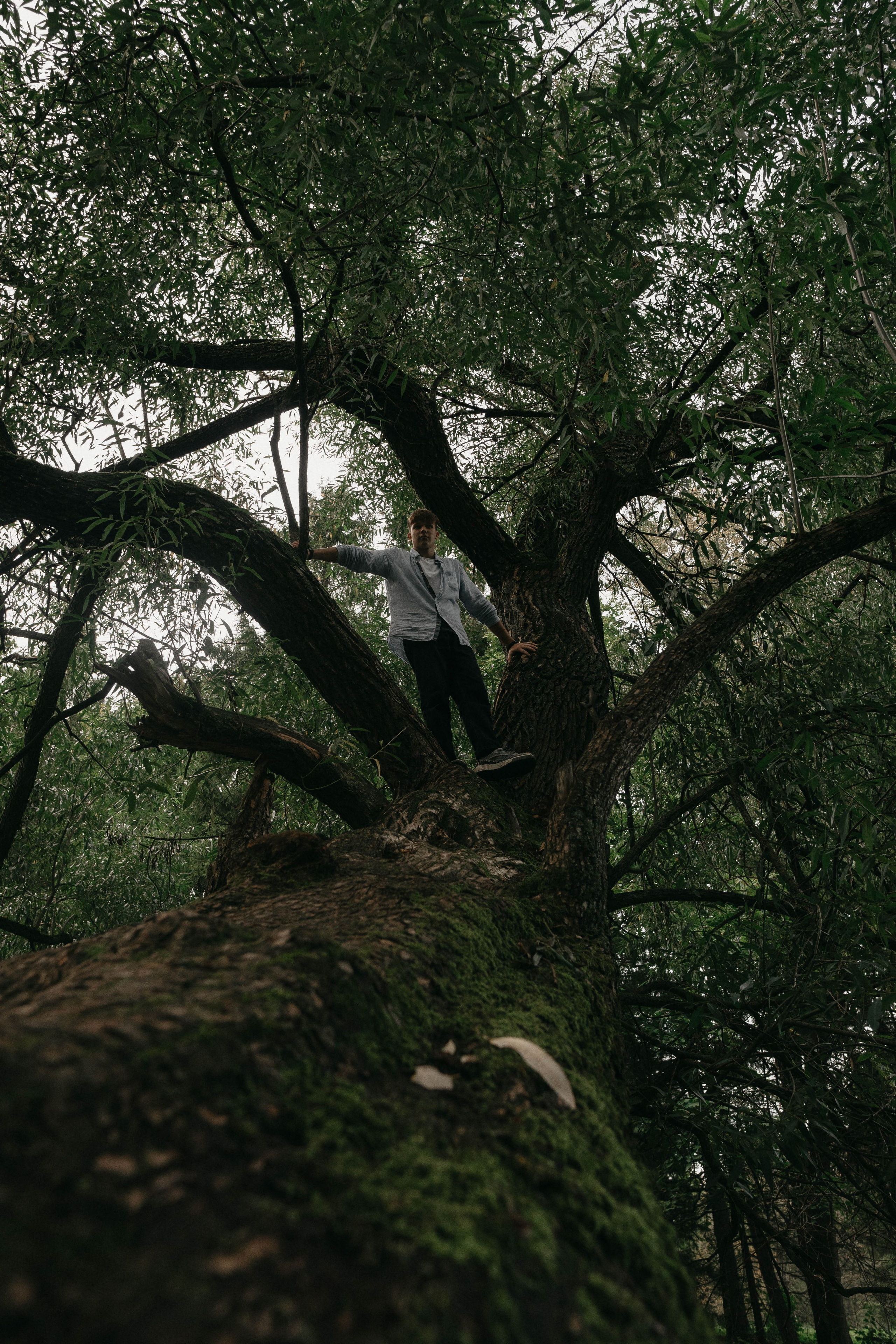 «бабушка приехала!». Фотограф в Санкт-Петербурге Головина Анастасия