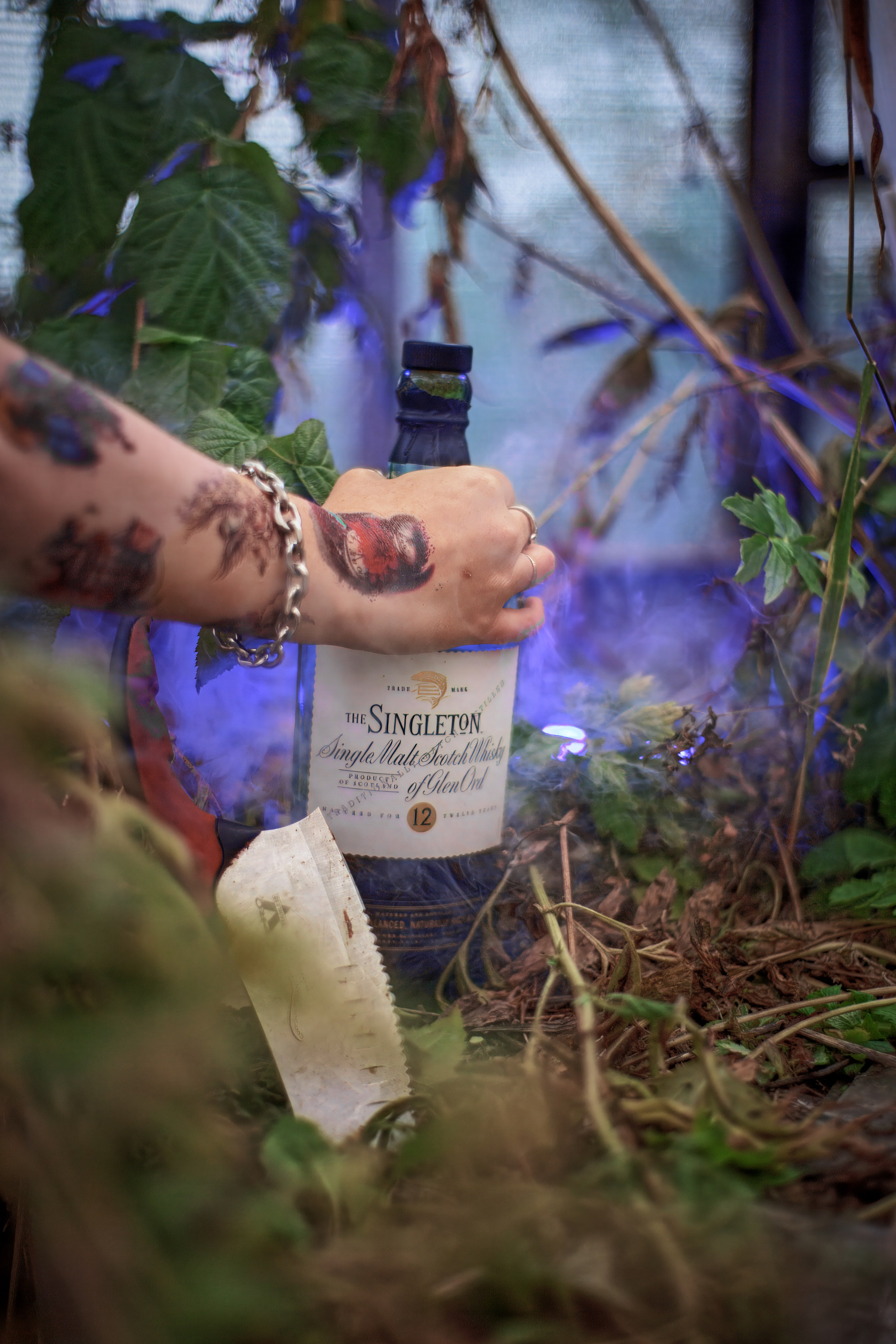 Алиса. Наше время. Фотограф в Южно-Сахалинске Гусаков Евгений