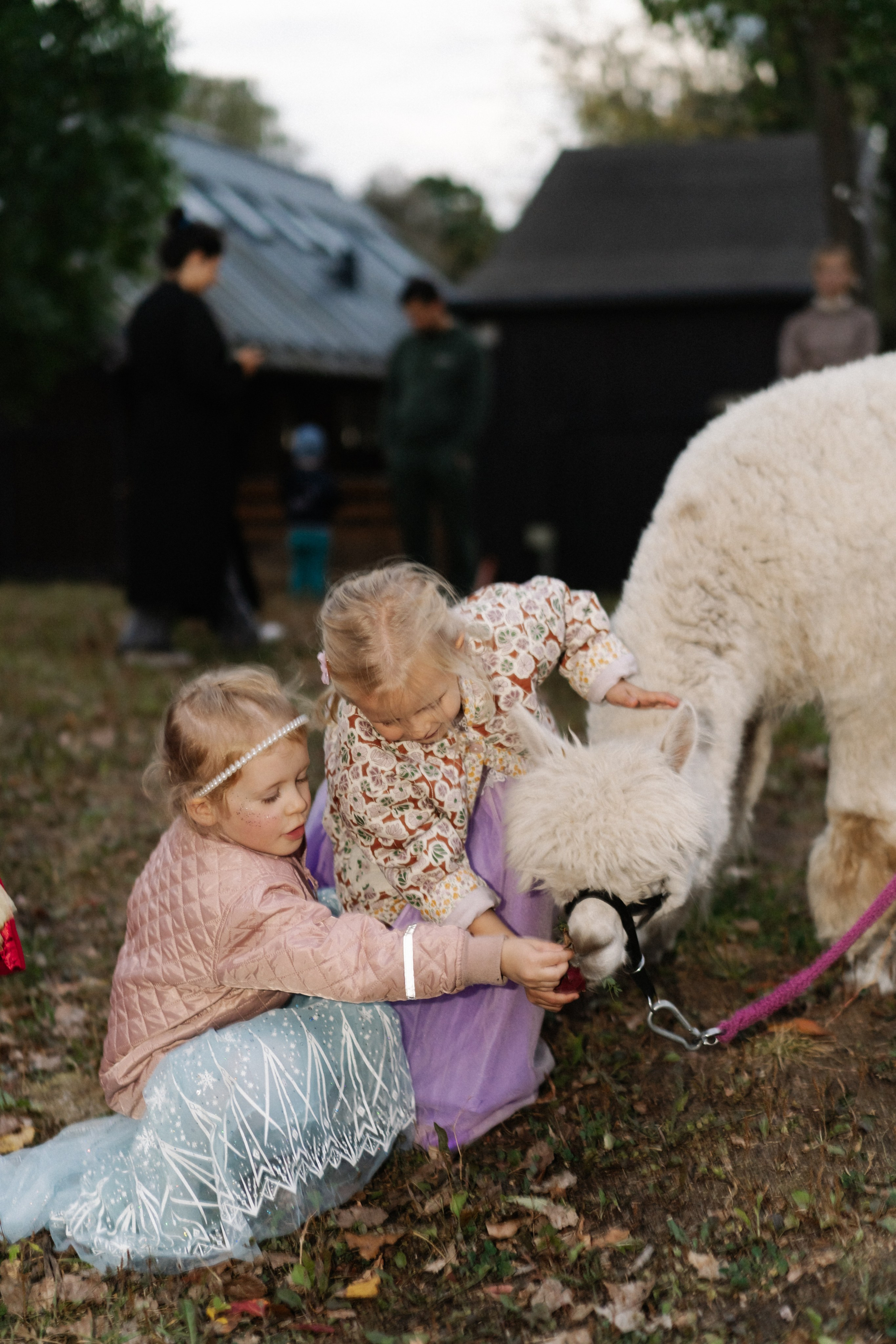Дни Рождения. Надя Инкина фотограф Москва