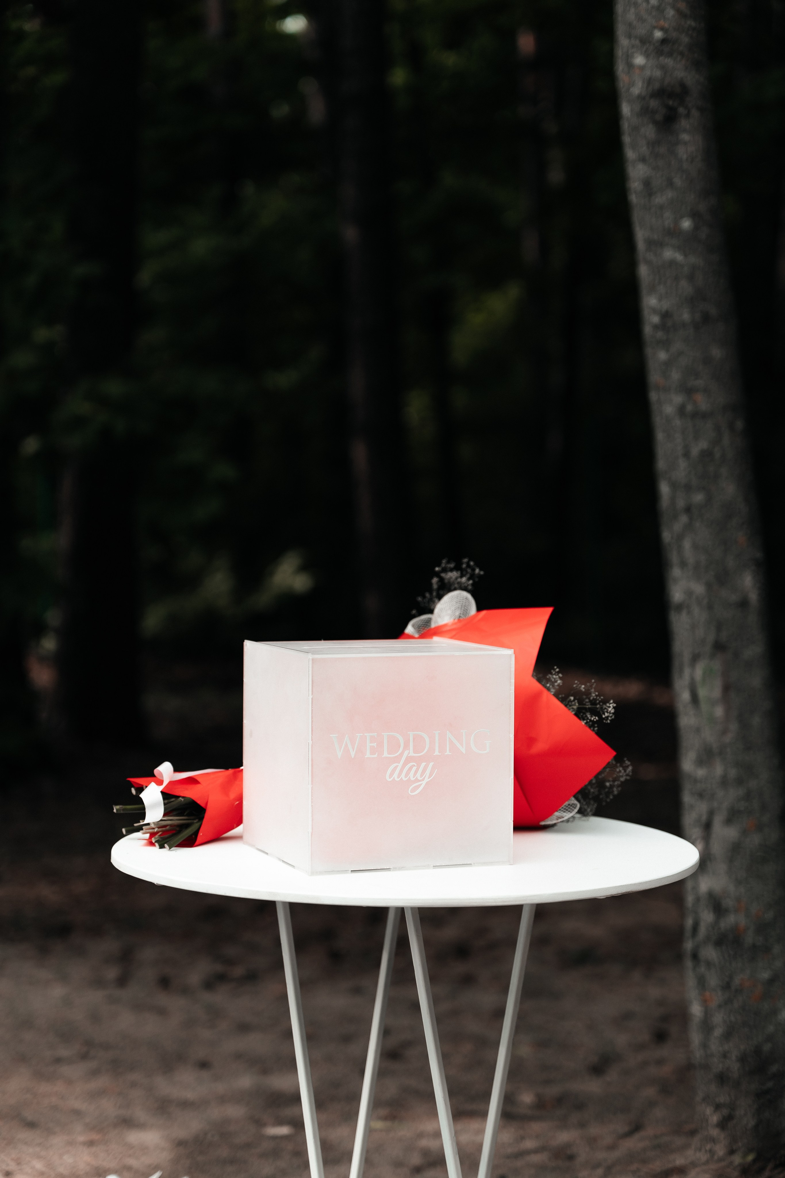 Андрей и Алина. Фотограф Екатерина Бочарникова