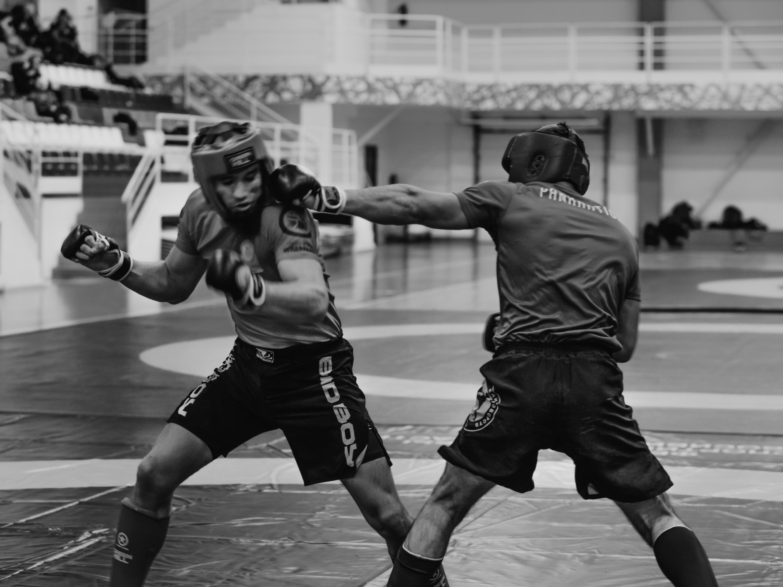 Кубок России по спортивной борьбе панкратион `23. Портретный фотограф в Москве Дарья Цезария