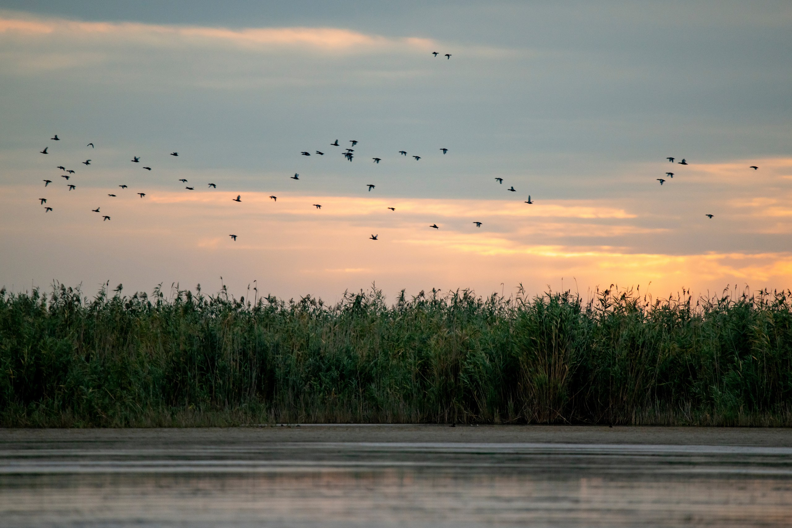 Природа Дагестана, сентябрь 2024. Foto-Zuev фотография как искусство