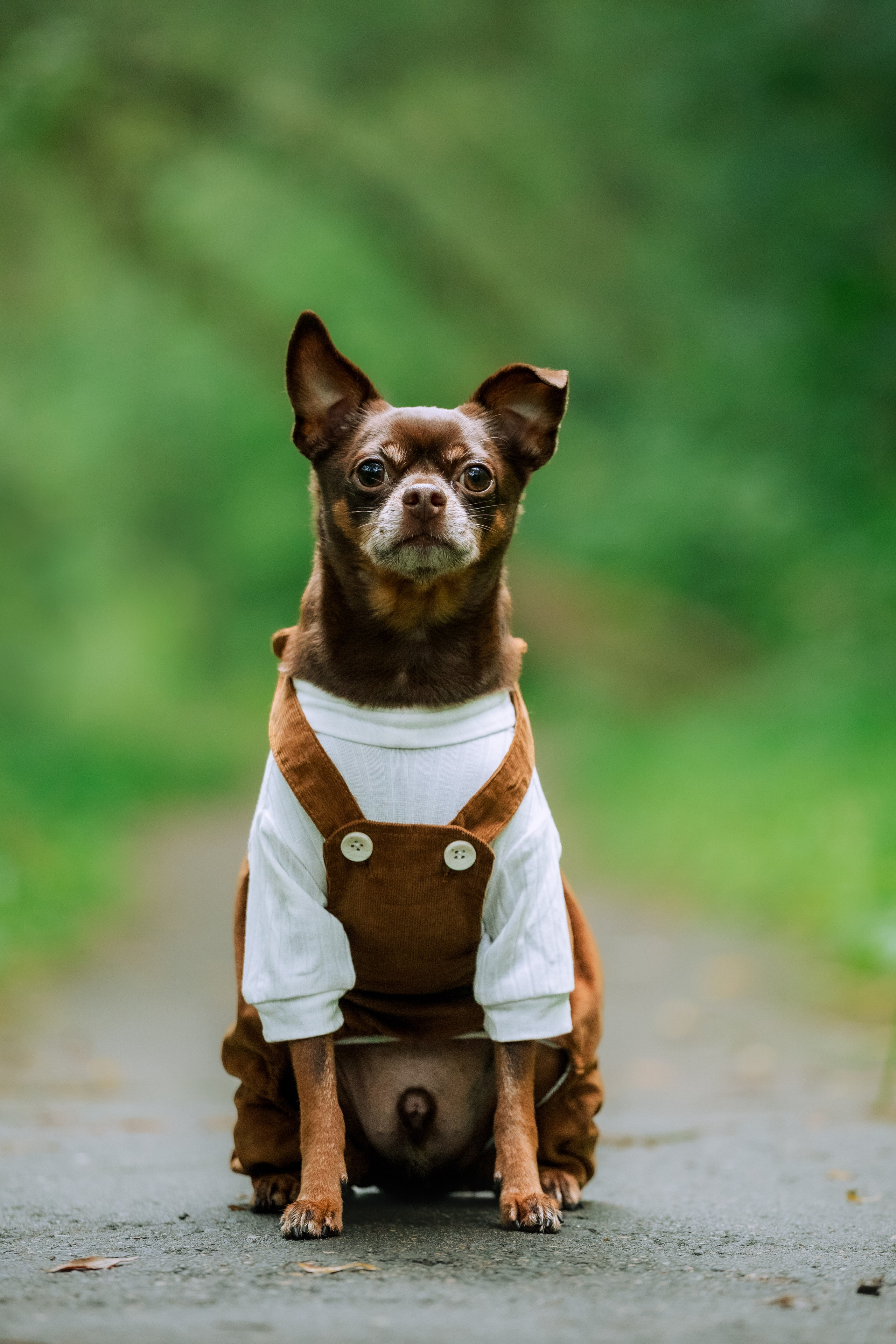 Юля и Леонид. Фотограф-анималист Татьяна Степанова