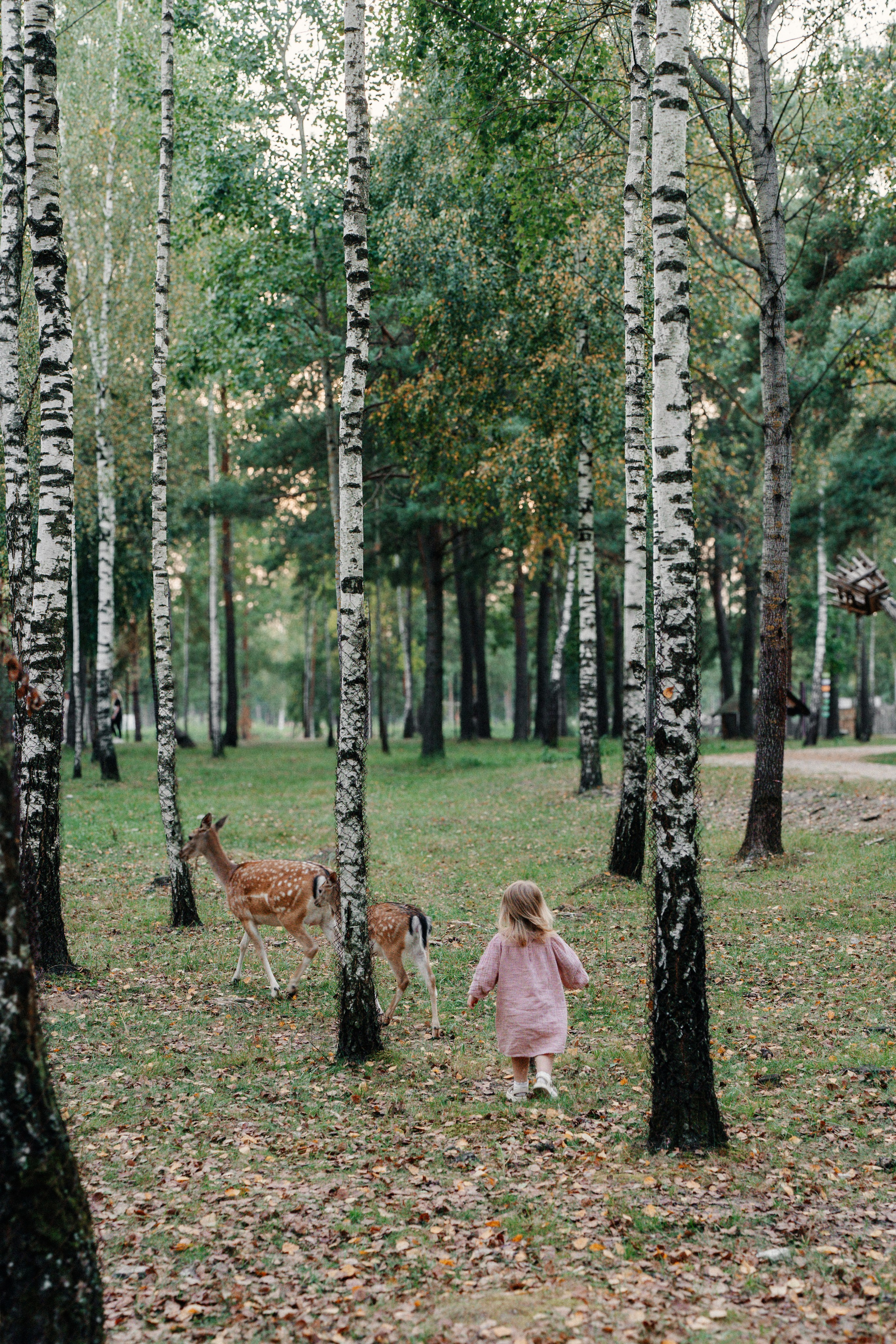 Диприз — в мире диких животных. Ваш семейный фотограф в Минске — Вика Трегубова