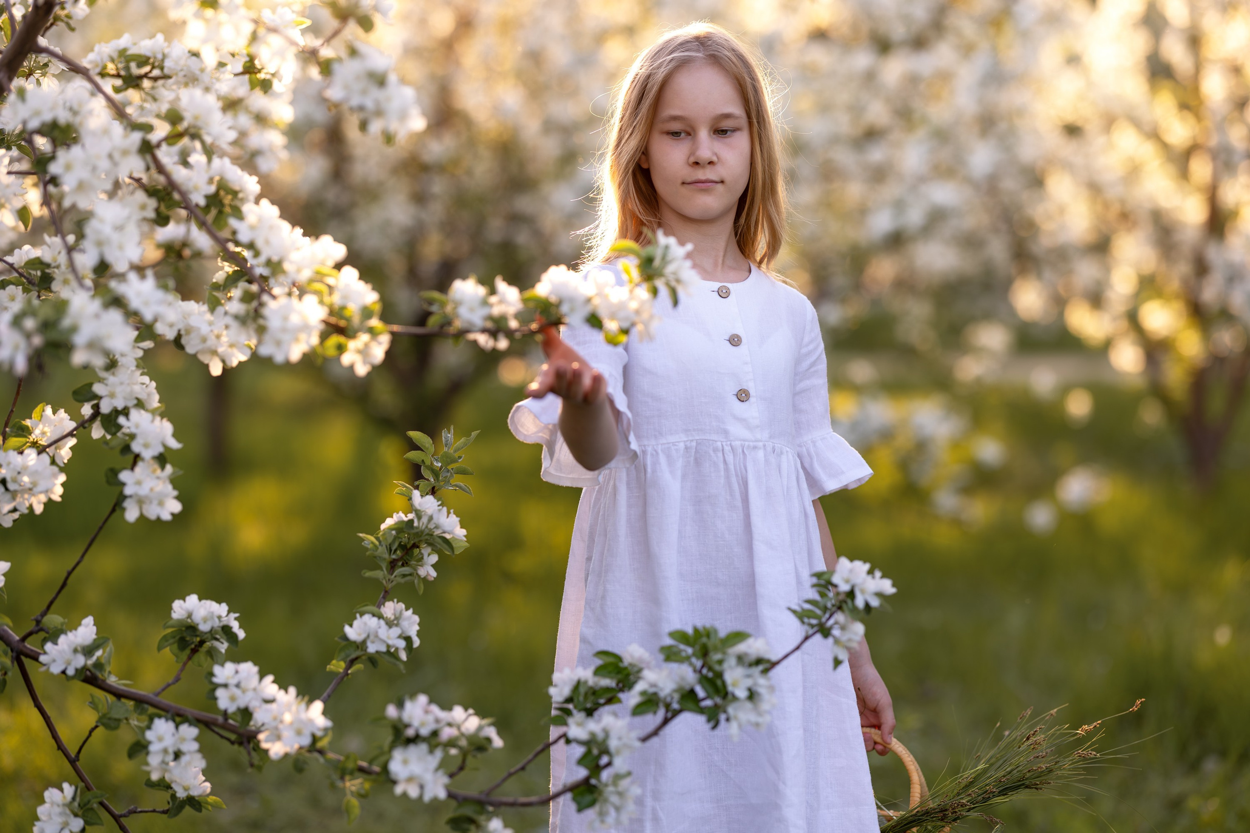 Яблоневый сад. Семейный и детский фотограф в Красноярске, Дивногорцева Светлана