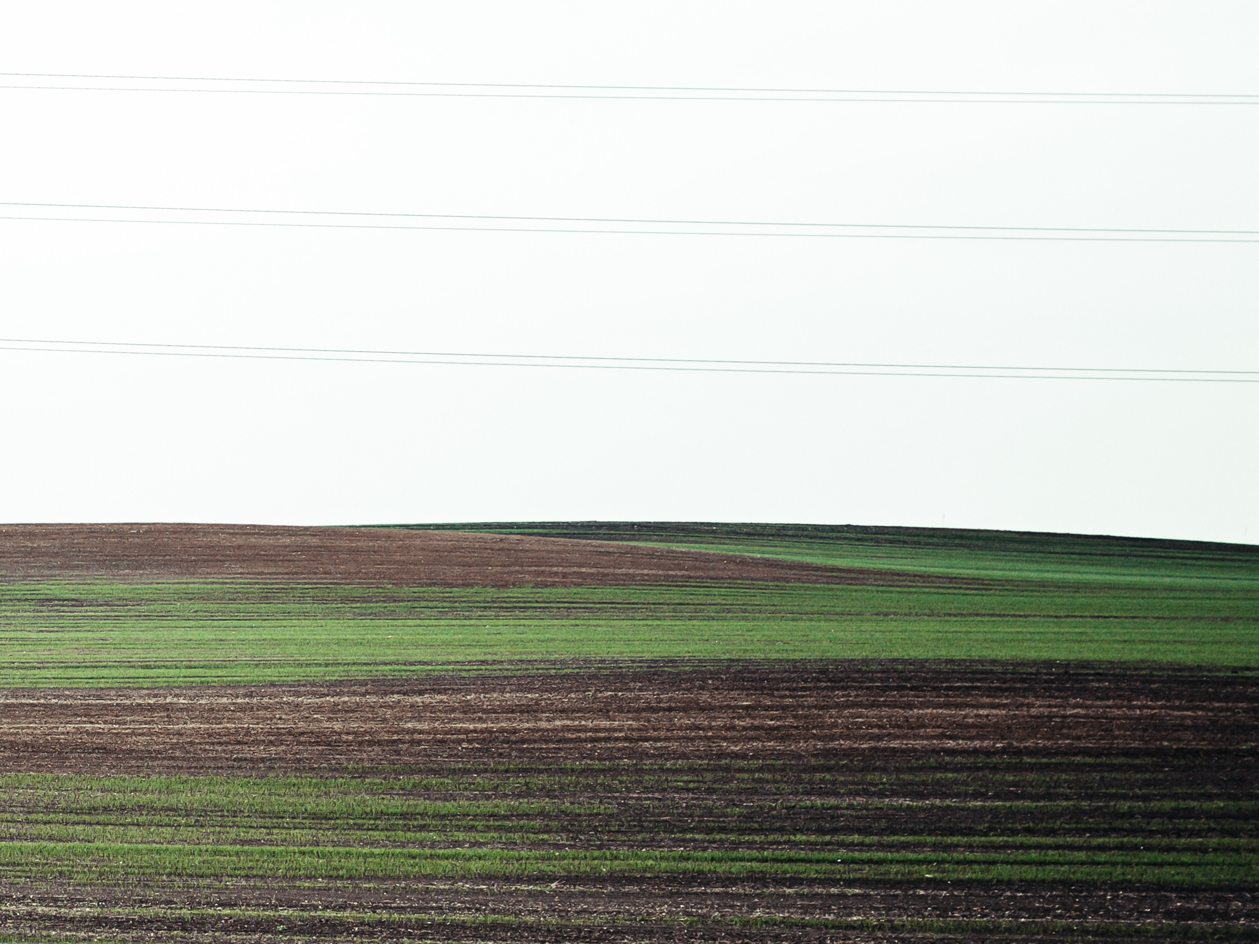 Nature. Street photographer Ksenya Loboda