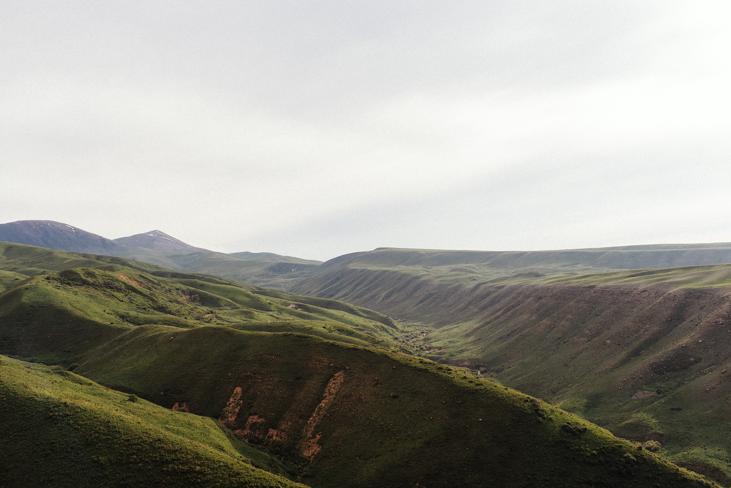 01.06.23. Фотограф в Алматы — Алексей Коньков | Репортаж, свадьбы, портреты