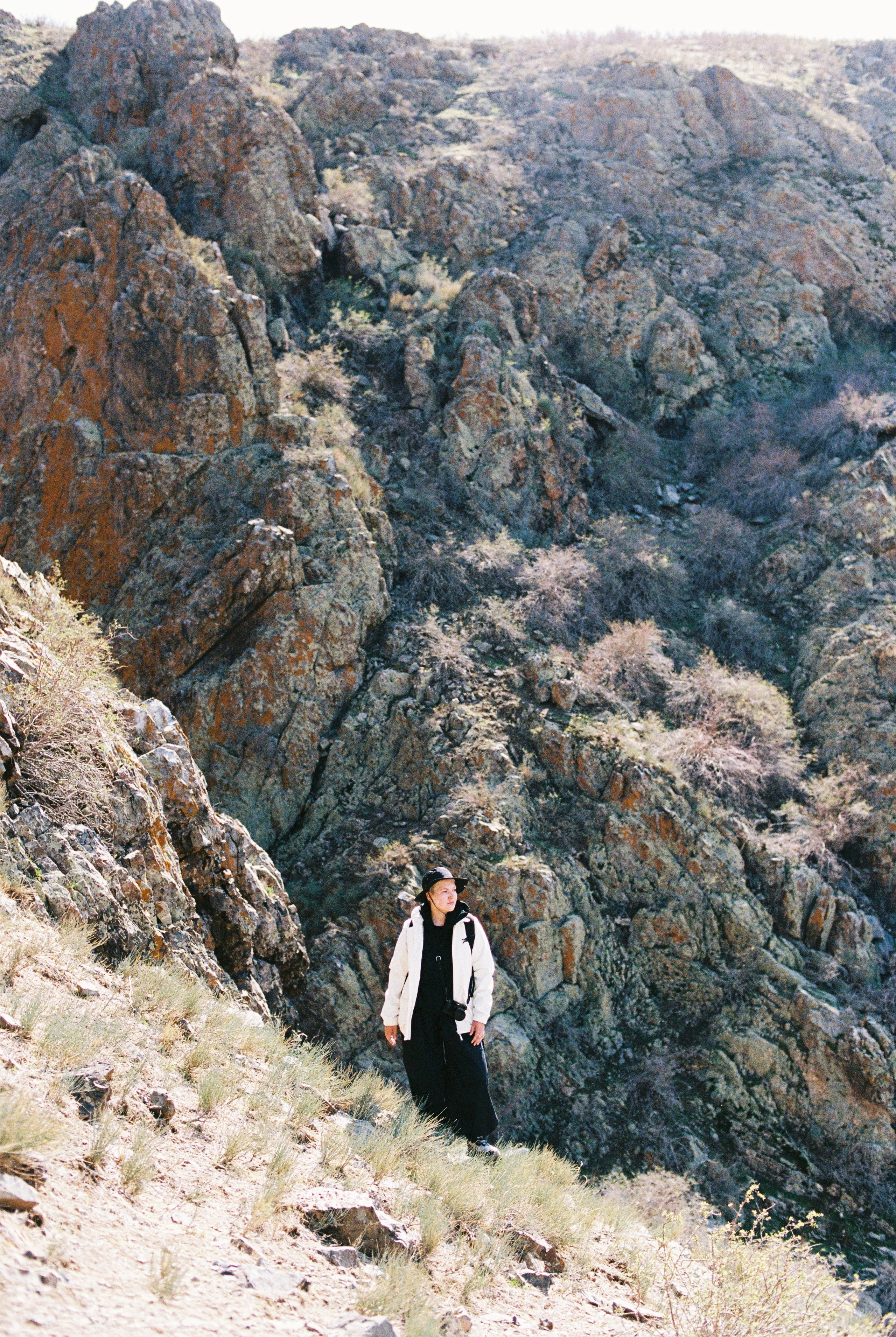 Алтын эмель/Или/Курты, плёнка 2025. Фотограф в Алматы — Алексей Коньков | Репортаж, свадьбы, портреты