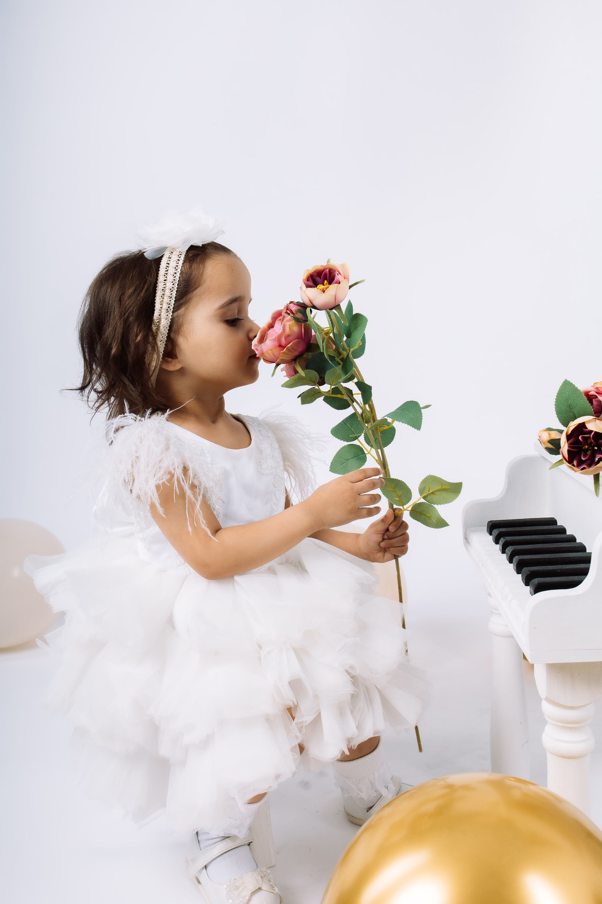 Сиасат и София