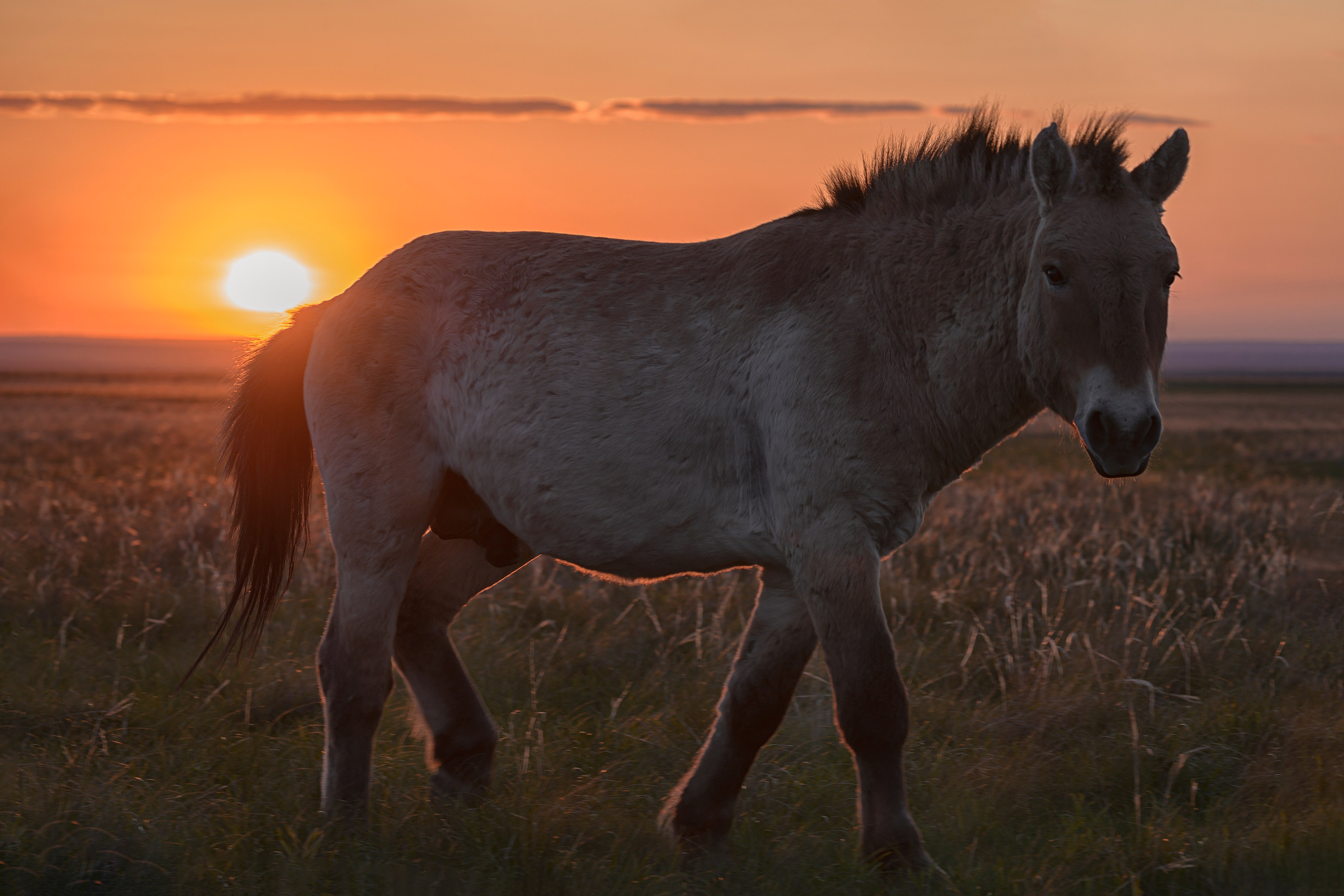 Оренбуржье. Портретный фотограф в Челябинске Катерина Руди