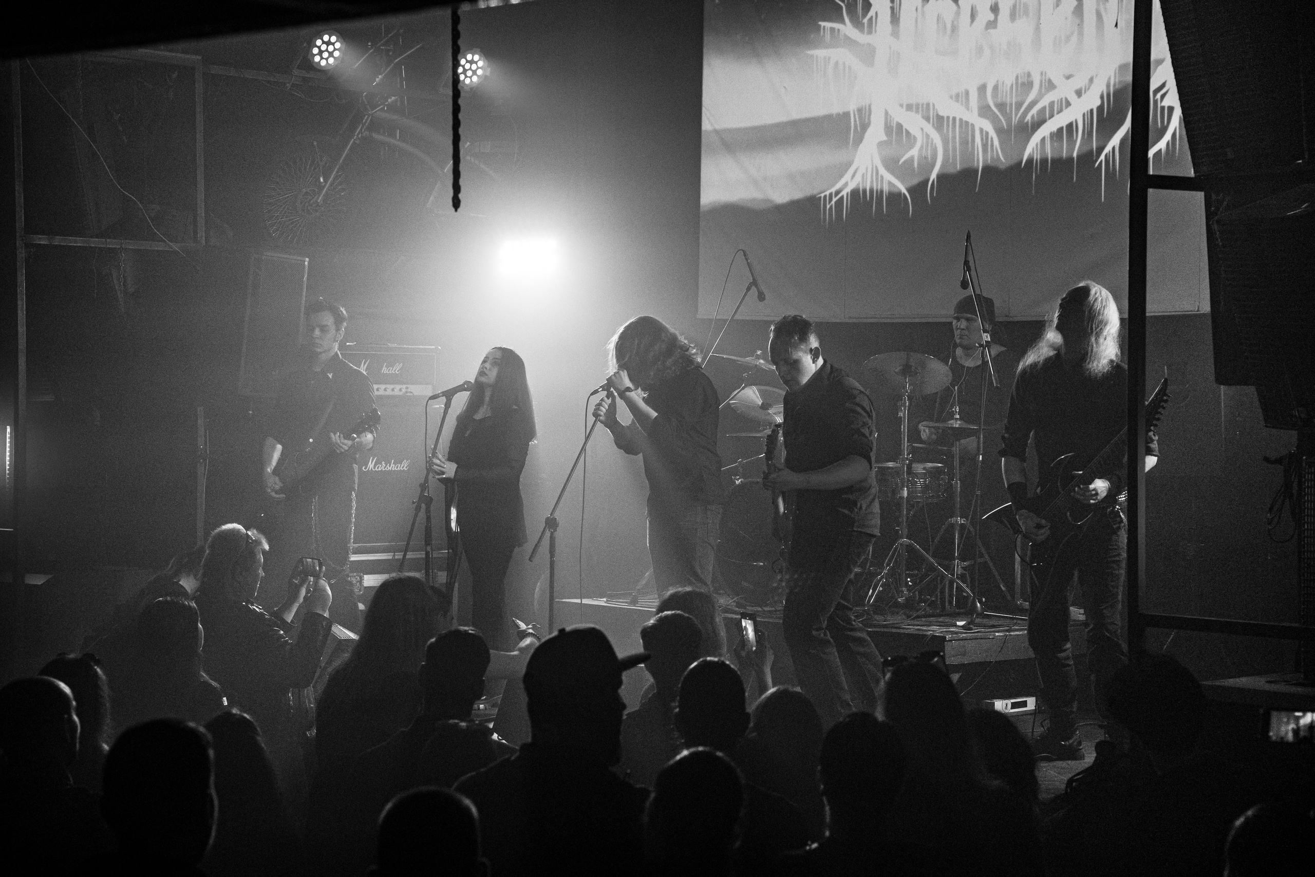 Valhalla | 24.05.25 | Ласточка. Концертный и репортажный фотограф в Санкт-Петербурге Слава Пахомов