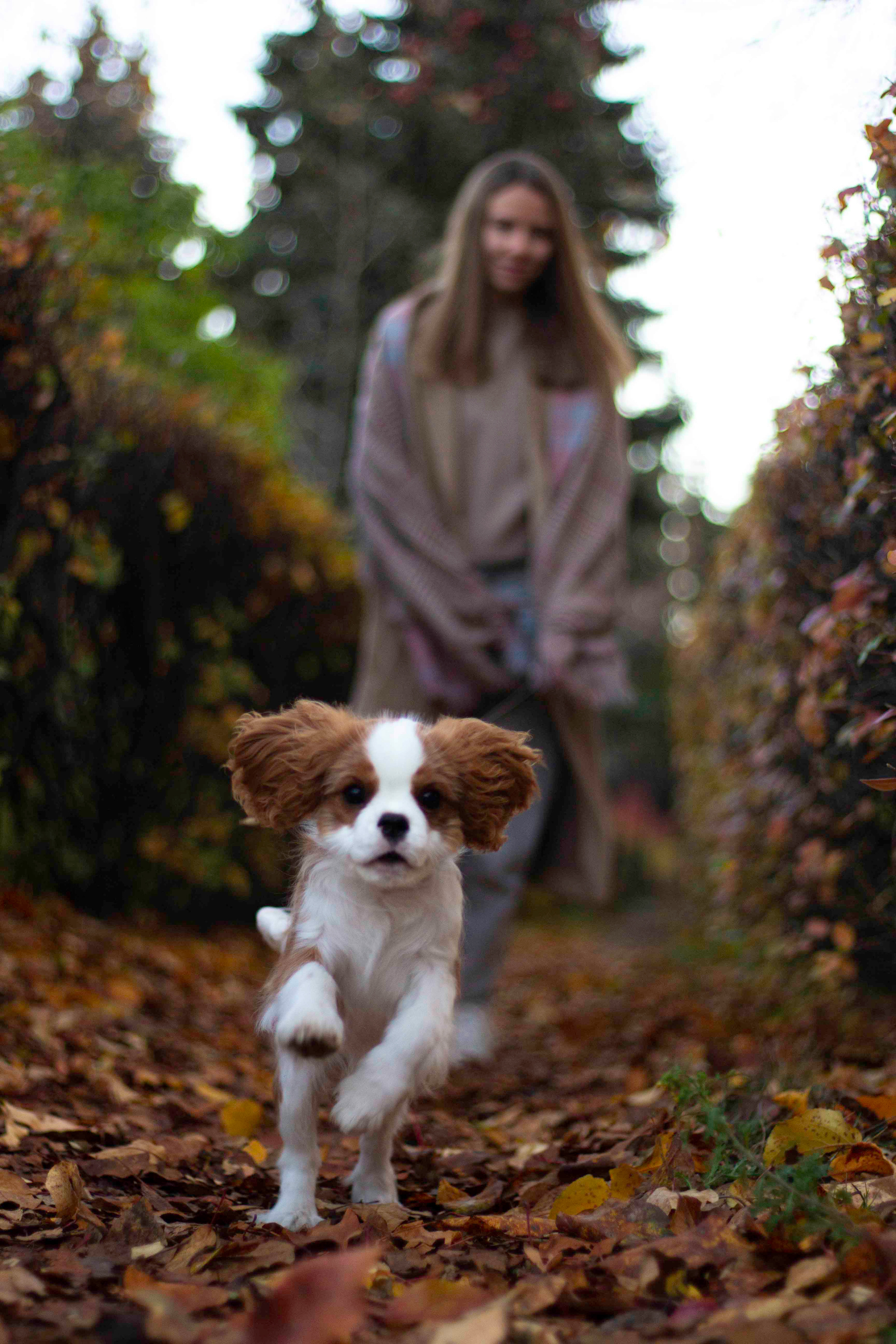 Ирина и Дрейк. Креативный фотограф Екатеринбург Тюленева Алина lovesroty, портрет идр
