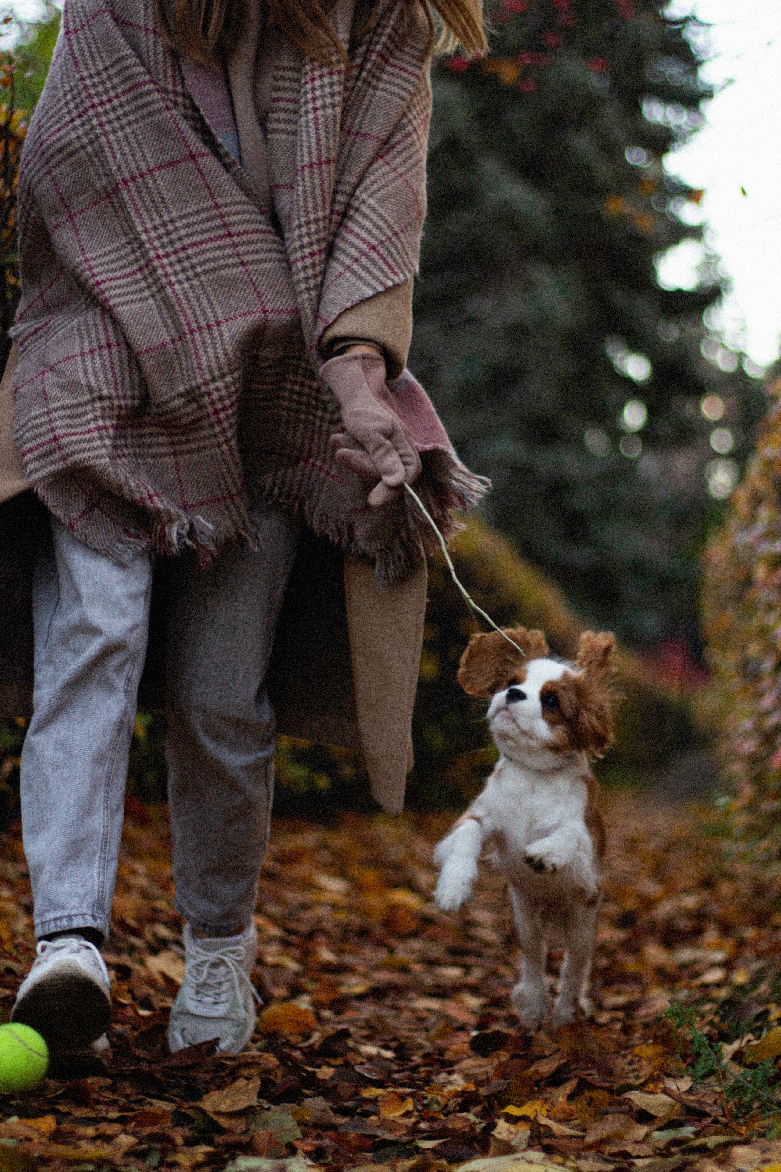 Ирина и Дрейк. Креативный фотограф Екатеринбург Тюленева Алина lovesroty, портрет идр
