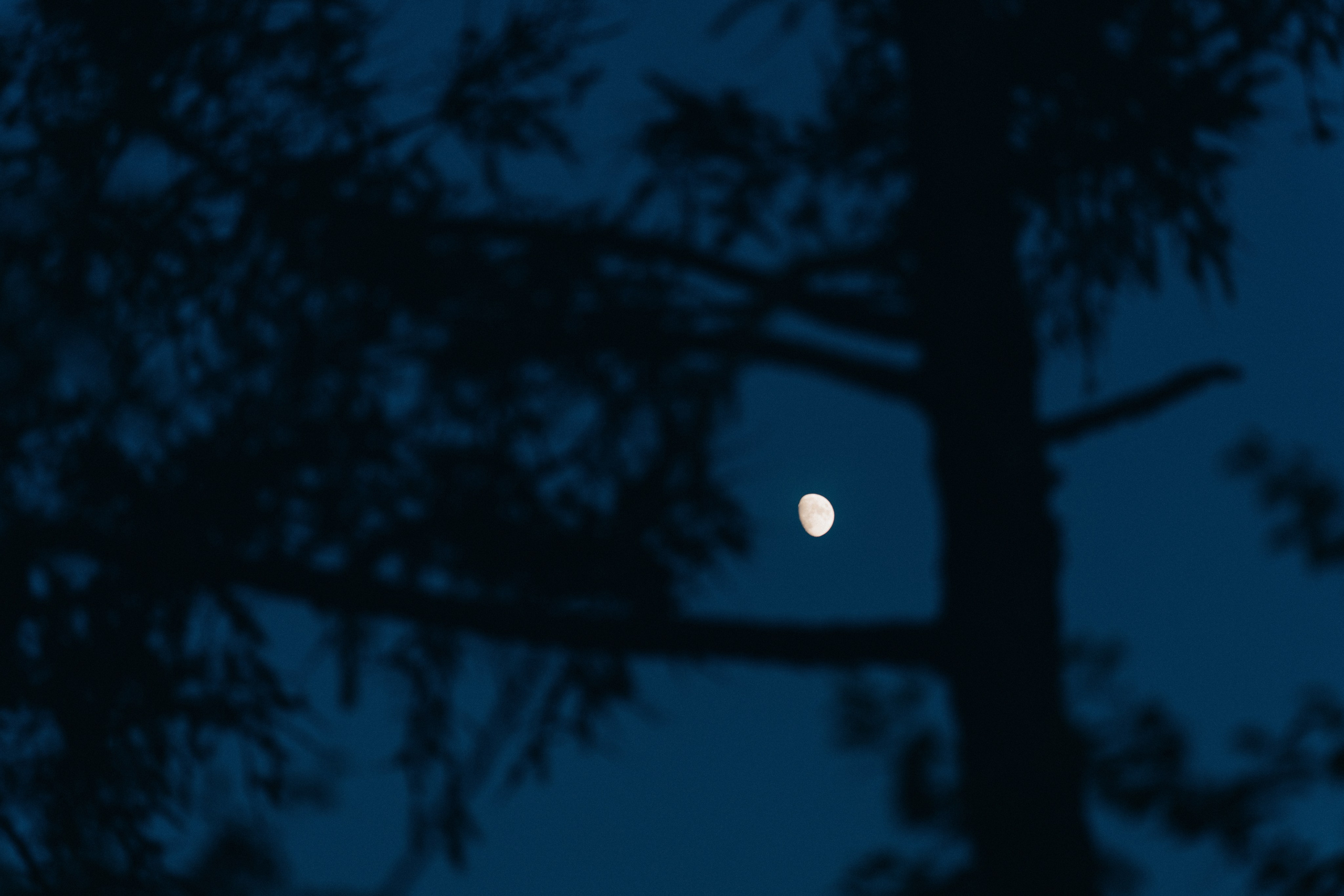 Mountain story. Фотограф Ксения Калюжная