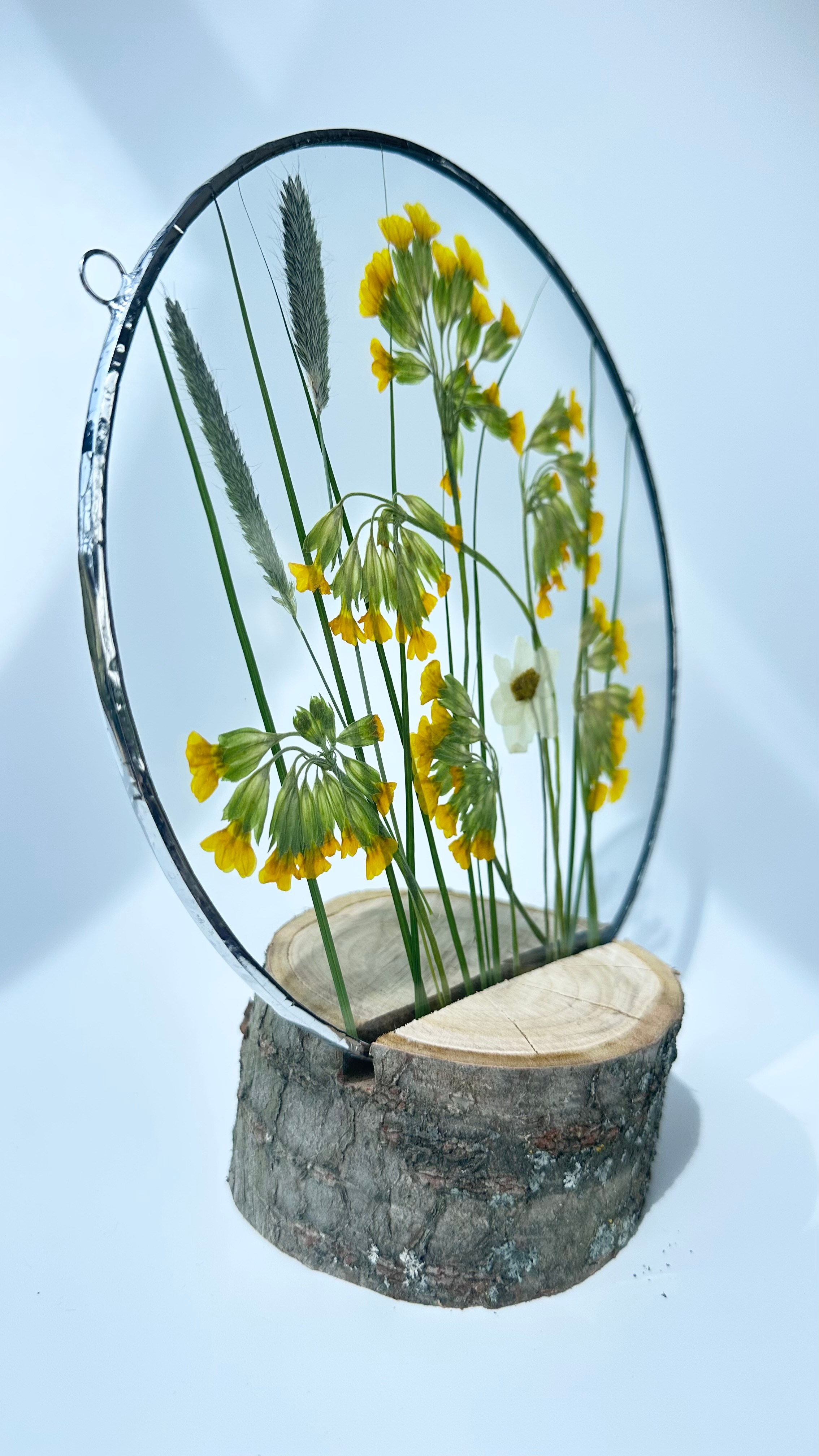 Сухоцветы под стеклом (витраж гербарий техника тиффани). Гербарий в стекле, интерьерные панно, витражи с сухоцветами в технике тиффани