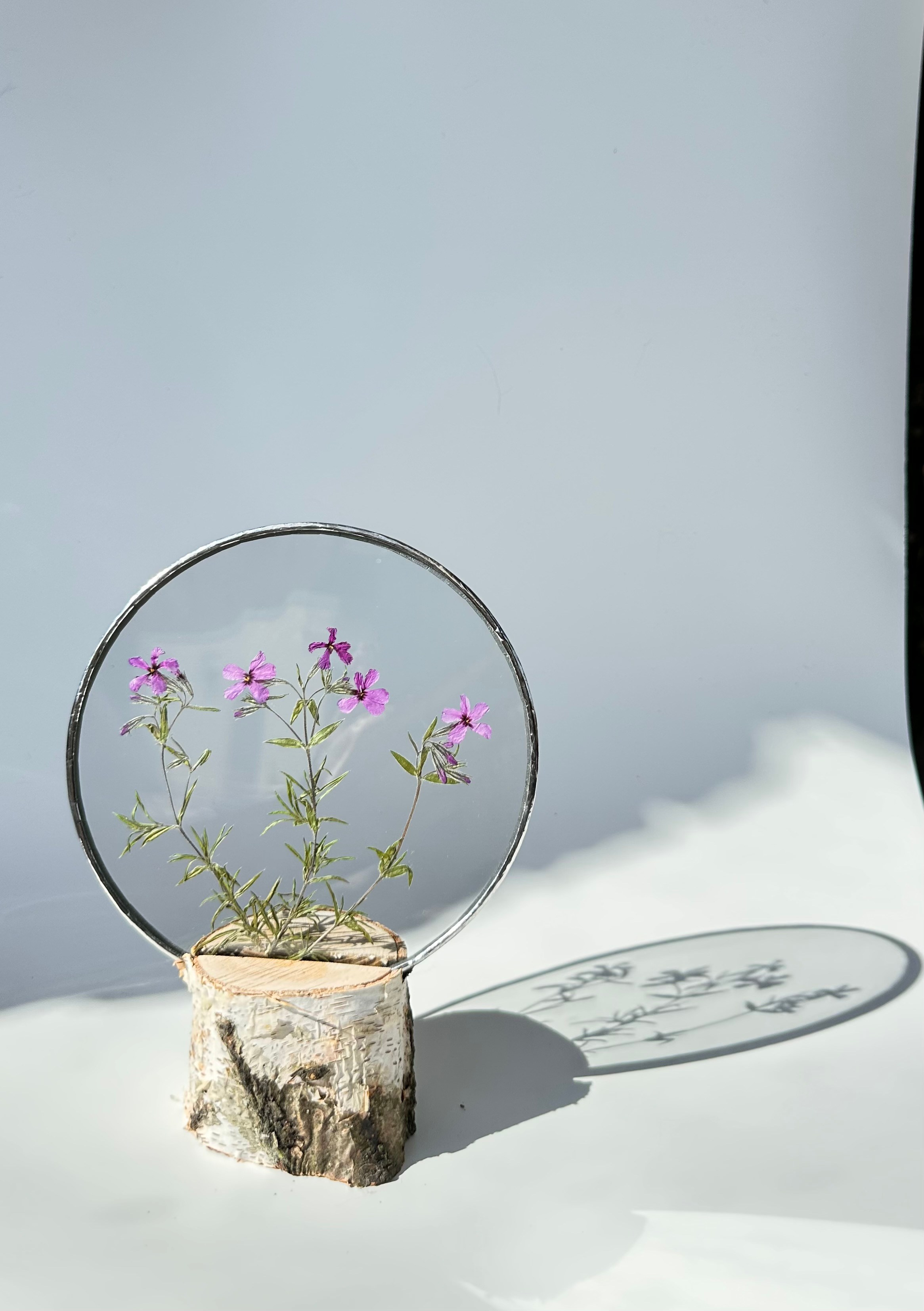 Гербарий в стекле с сухоцветами (витраж в технике тиффани в наличии и на заказ). Гербарий в стекле, интерьерные панно, витражи с сухоцветами в технике тиффани