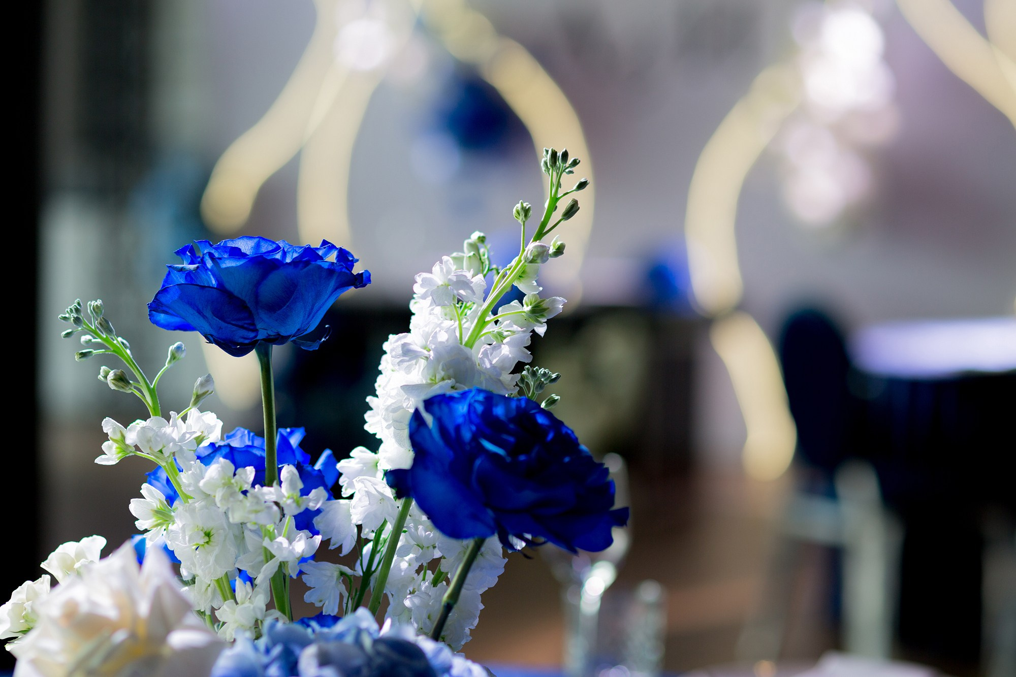 Royal Beach. Свадебный фотограф в Санкт-Петербурге Наталья Вендт