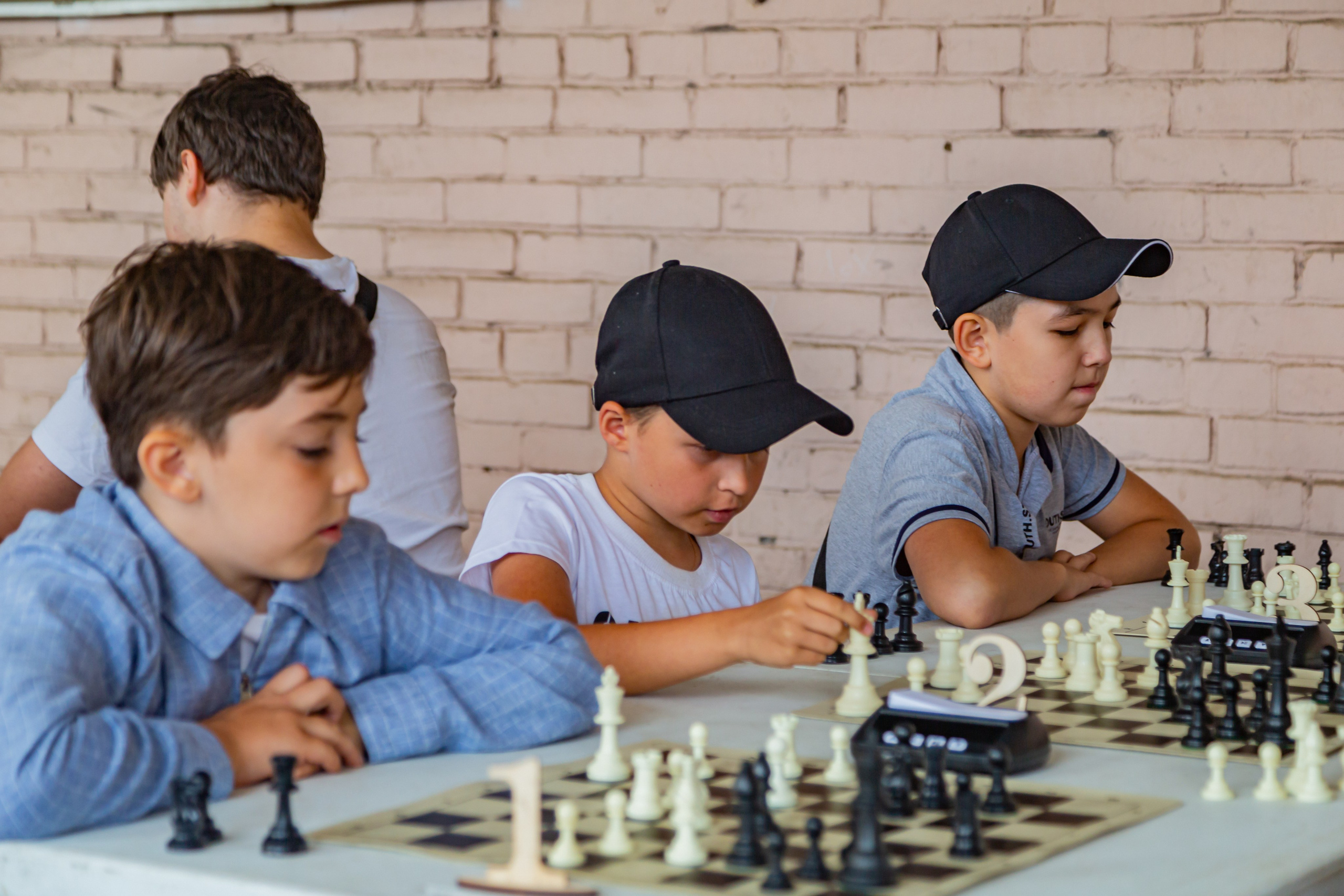 Шахматный турнир в Шушарах Санкт-Петербург. Светлая сторона