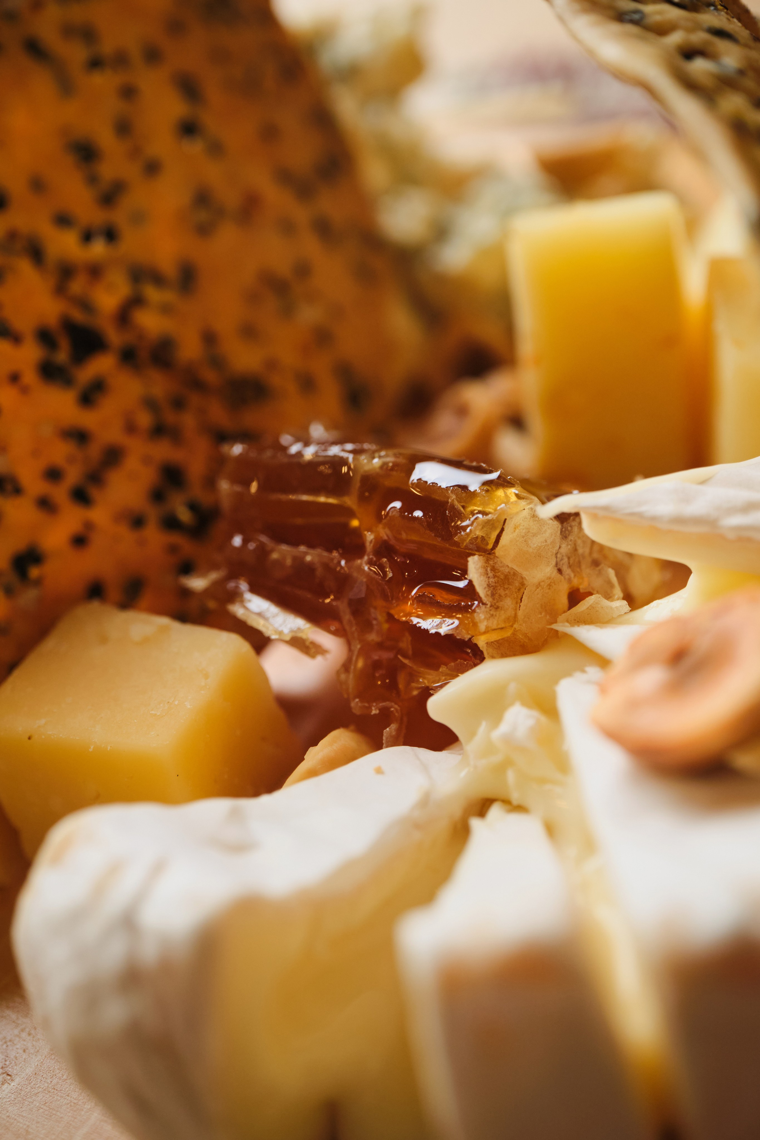 Презентация нового меню ресторана Veras и Kolas. Репортажный фотограф Дмитрий Литвинский. Минск, Беларусь, мир