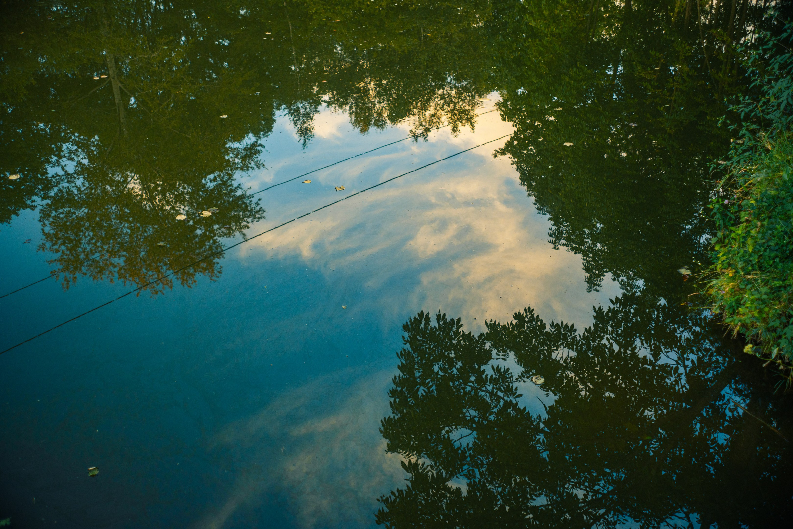 Майхинское хозяйство. Иван Зайцев (IZIART) — создание культурного кода через фото и видео