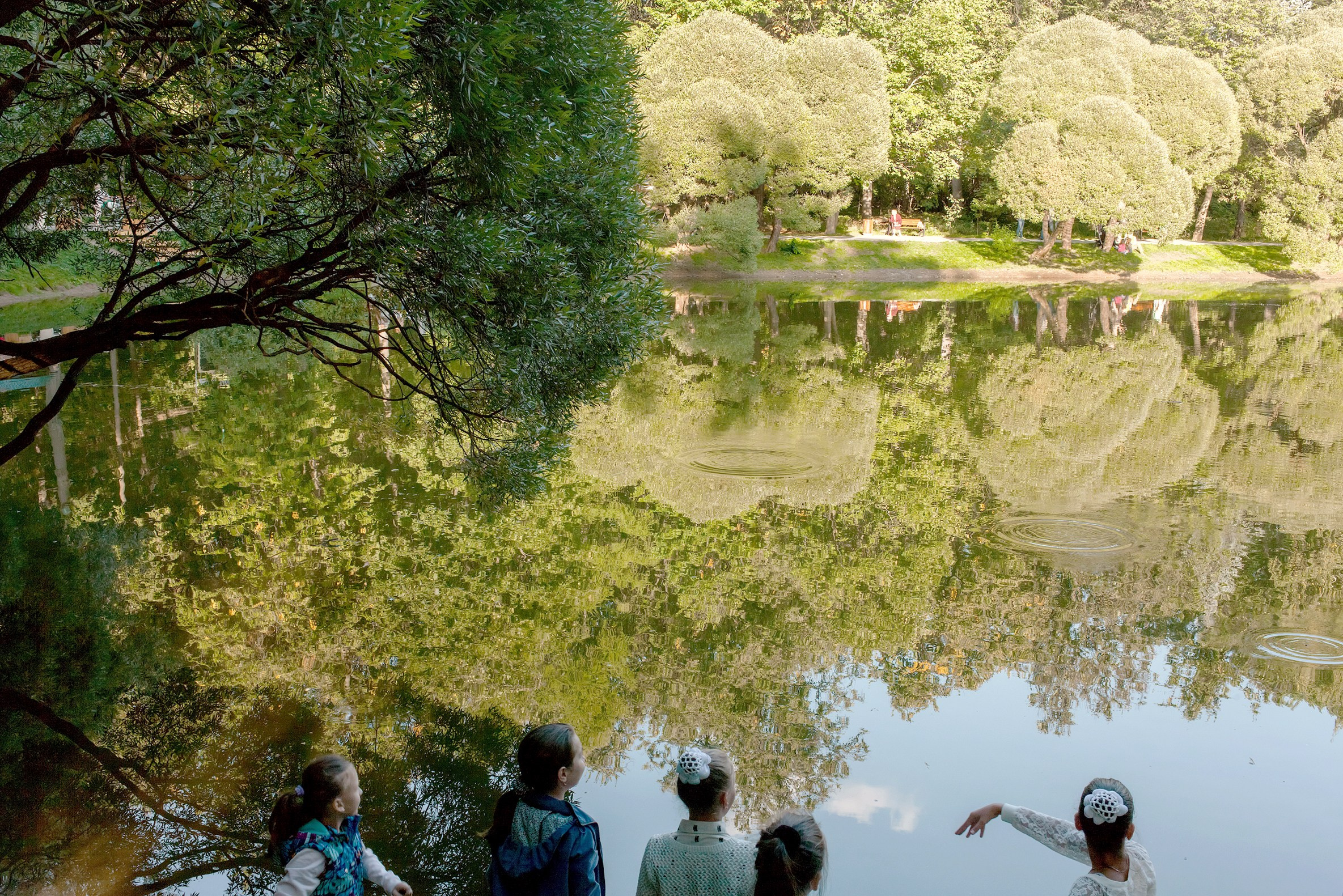 Симуляторы (Каталог № 2). Главная