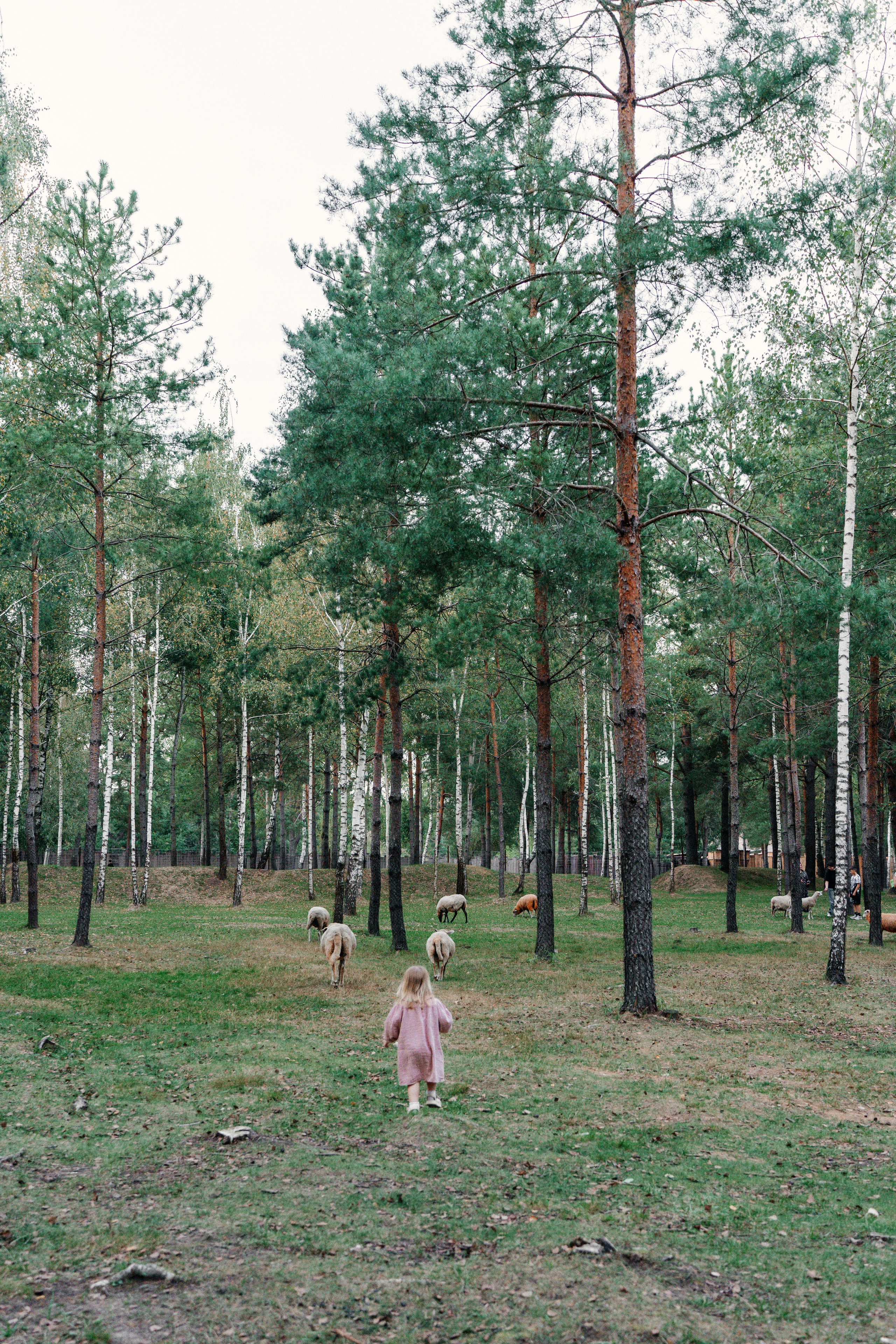 Диприз — в мире диких животных. Ваш семейный фотограф в Минске — Вика Трегубова