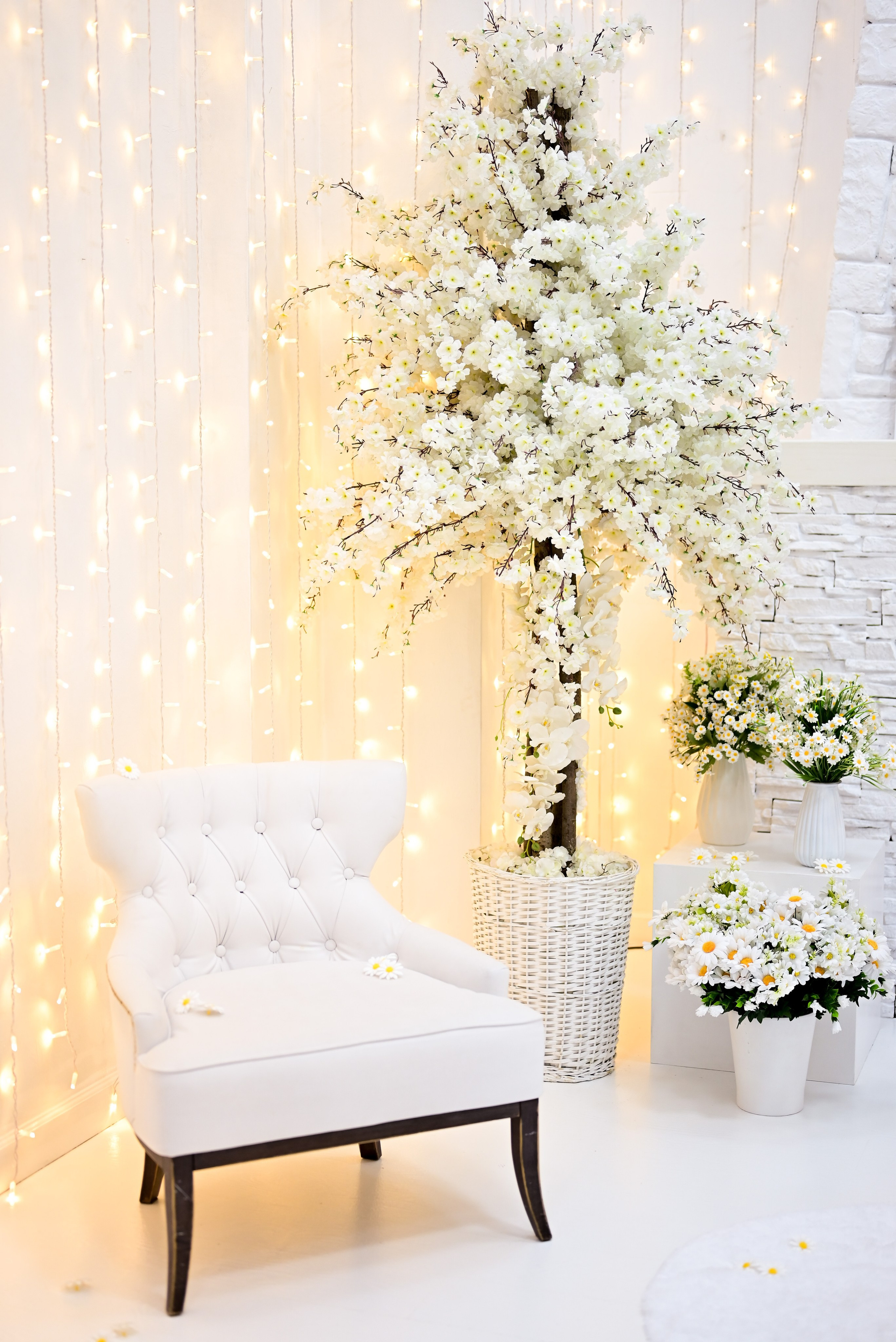 Зал — Family. Фотостудия Зефир. Фотосессии в студии под ключ. Москва. Семейные и детские фотосессии