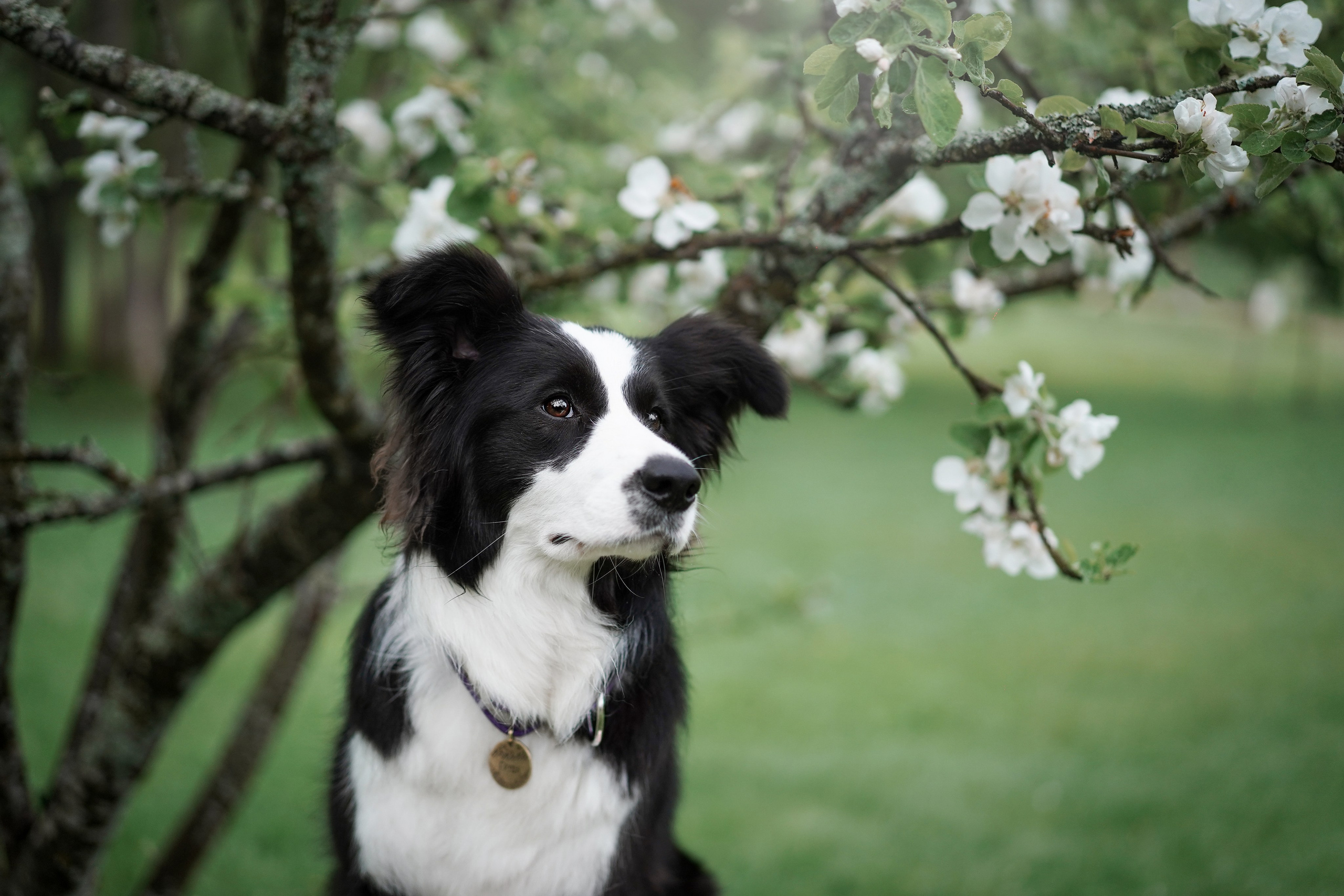 Юля, ее мама и Груша. Фотограф-анималист в Санкт-Петербурге Яна Мартынова