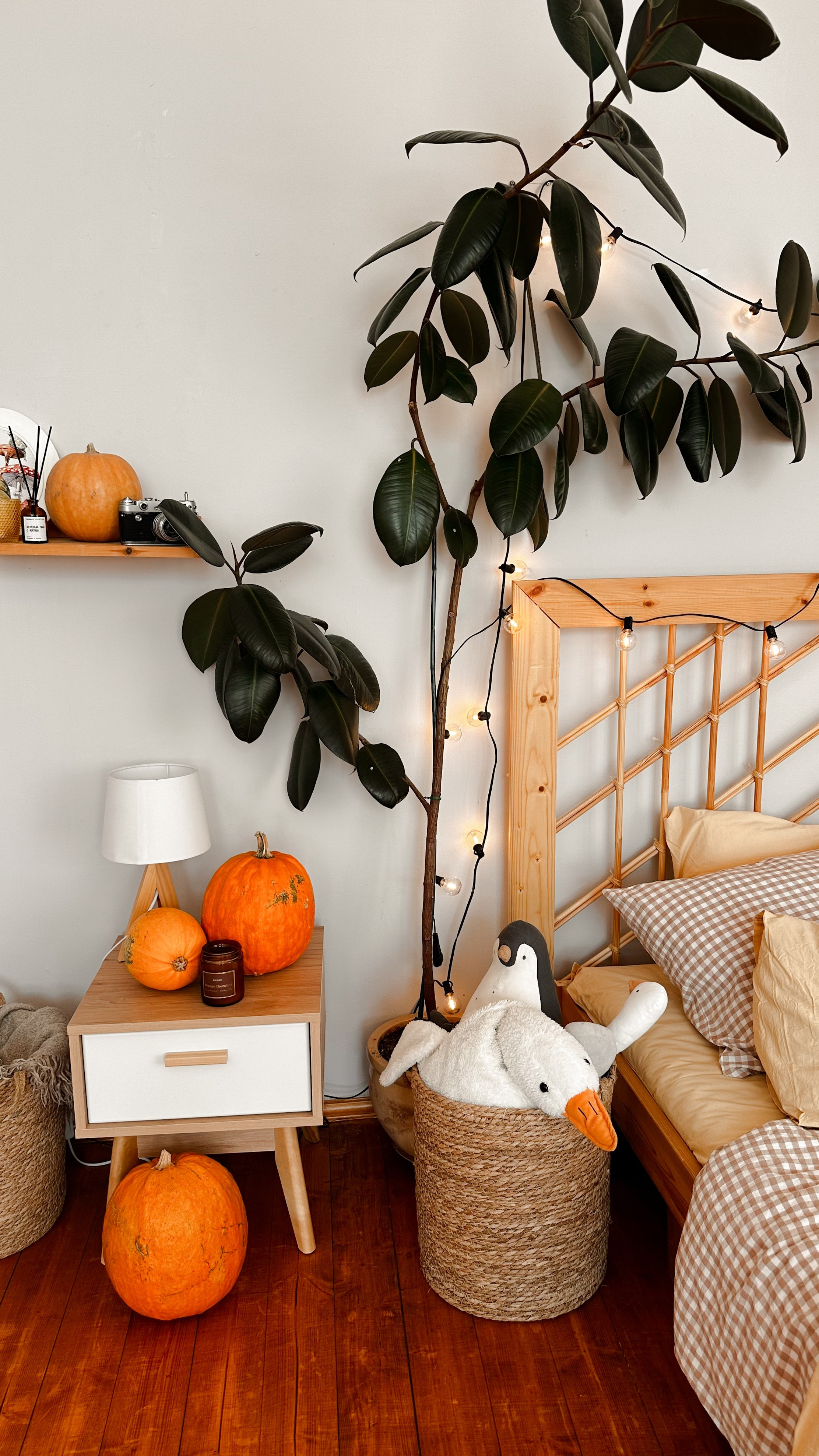 Loft Потолок, зал Потолок. Свадебный семейный и детский фотограф в Краснодаре Карина Федоровская