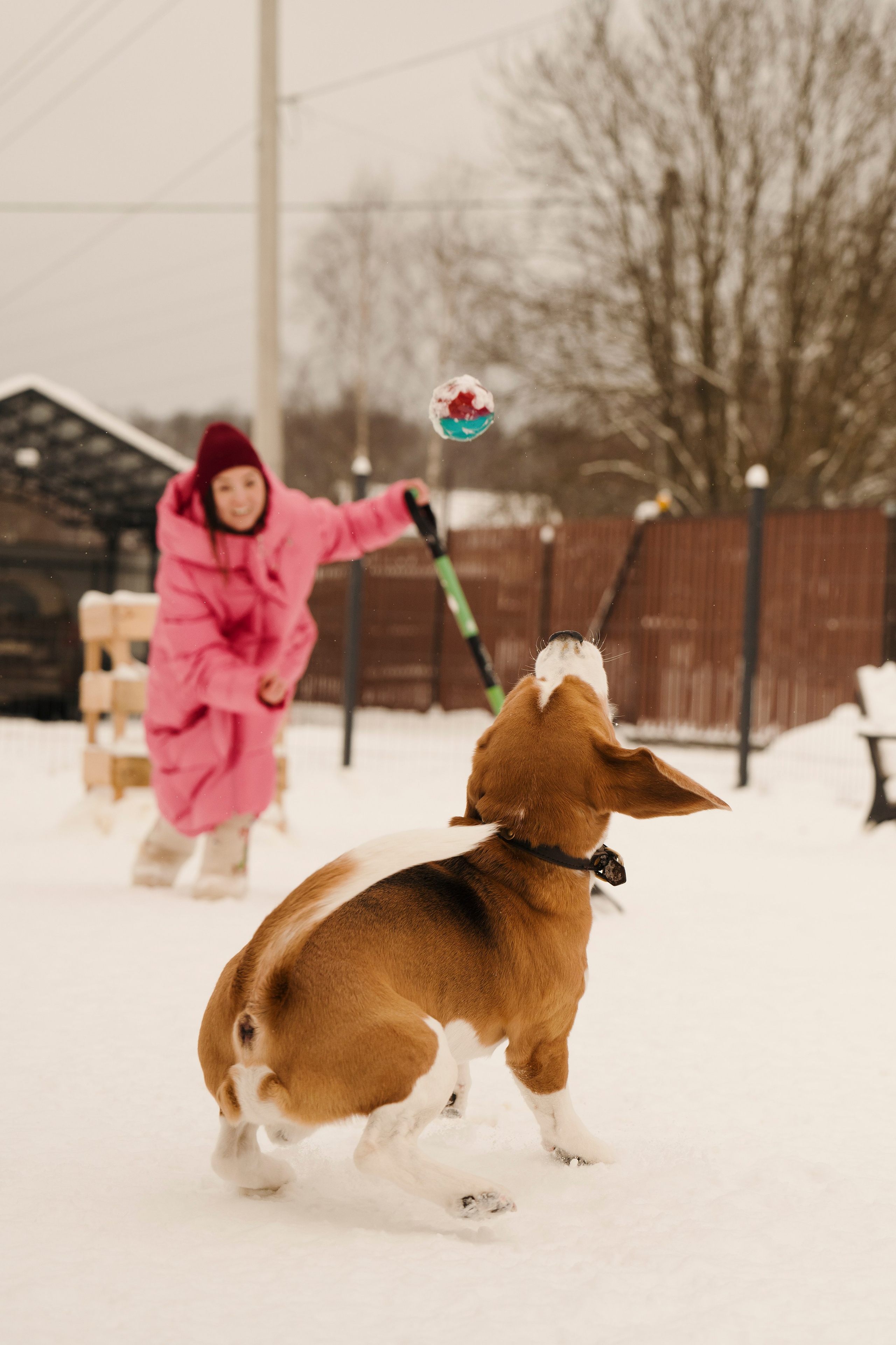 Зоогостиница Мишка. Фотограф- анималист Александра Матвеева