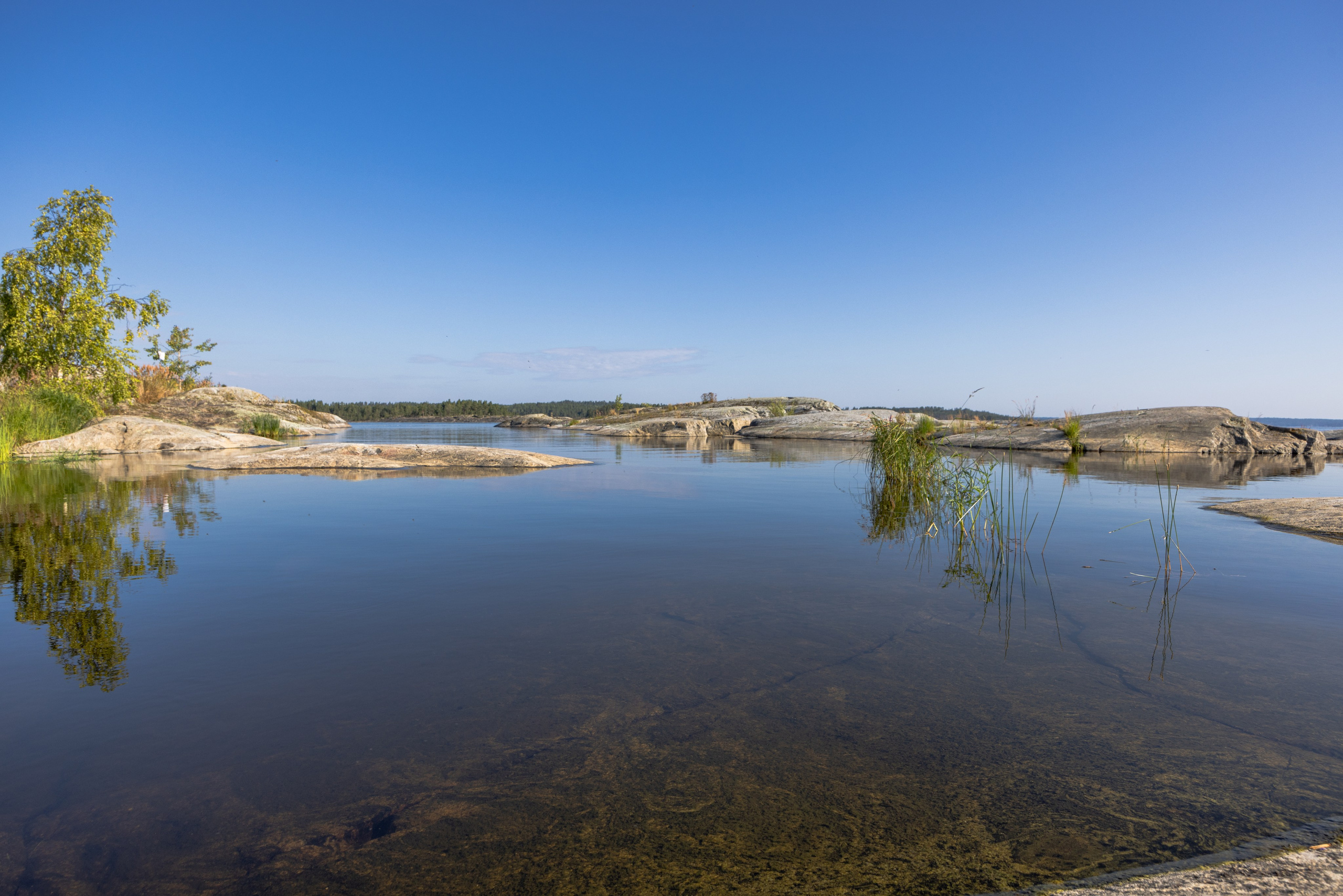 Ладога. Автомобильная фотография в Санкт-Петербурге