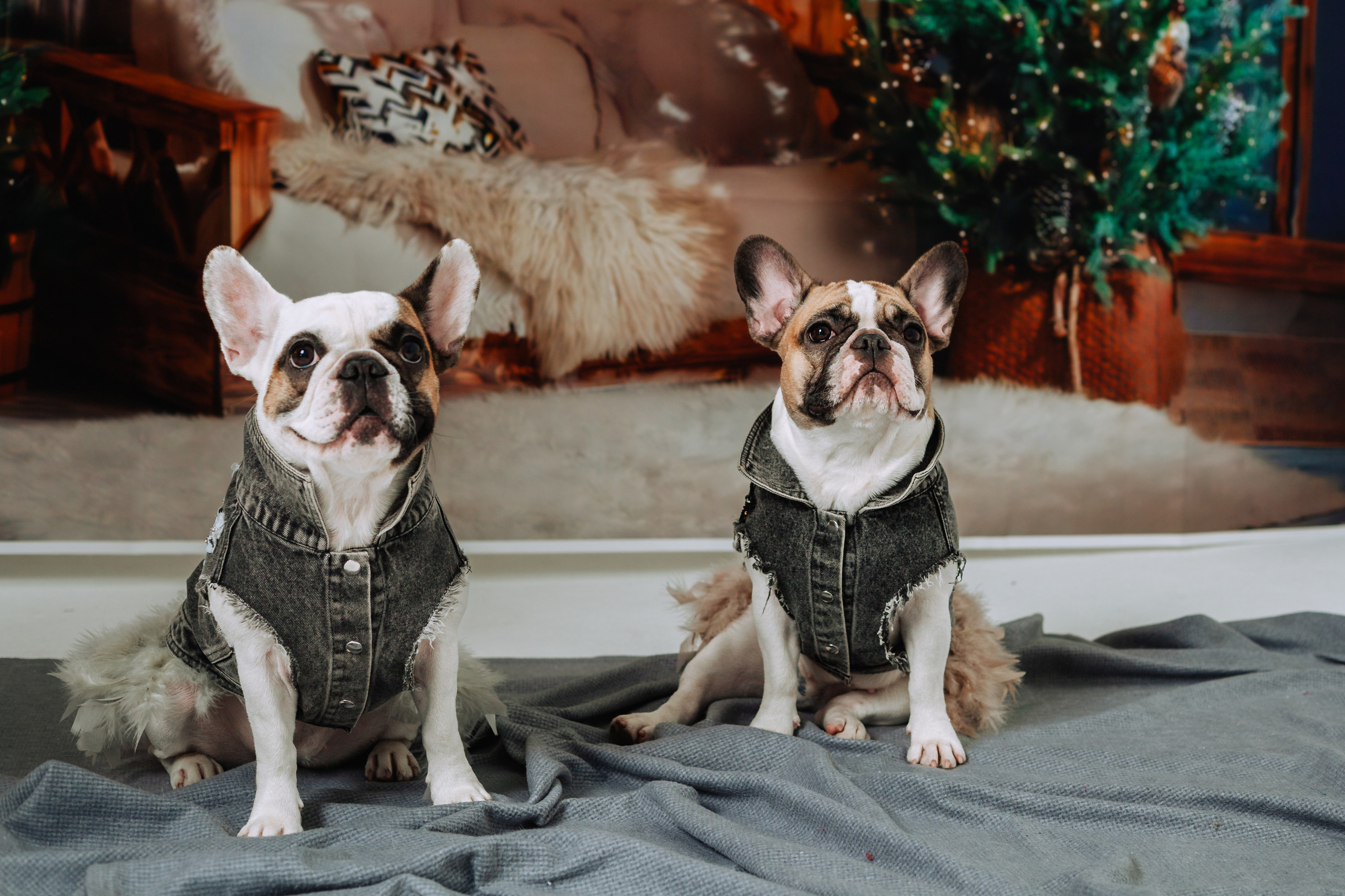 Бульвстреча 2025. Фотограф-анималист Татьяна Степанова