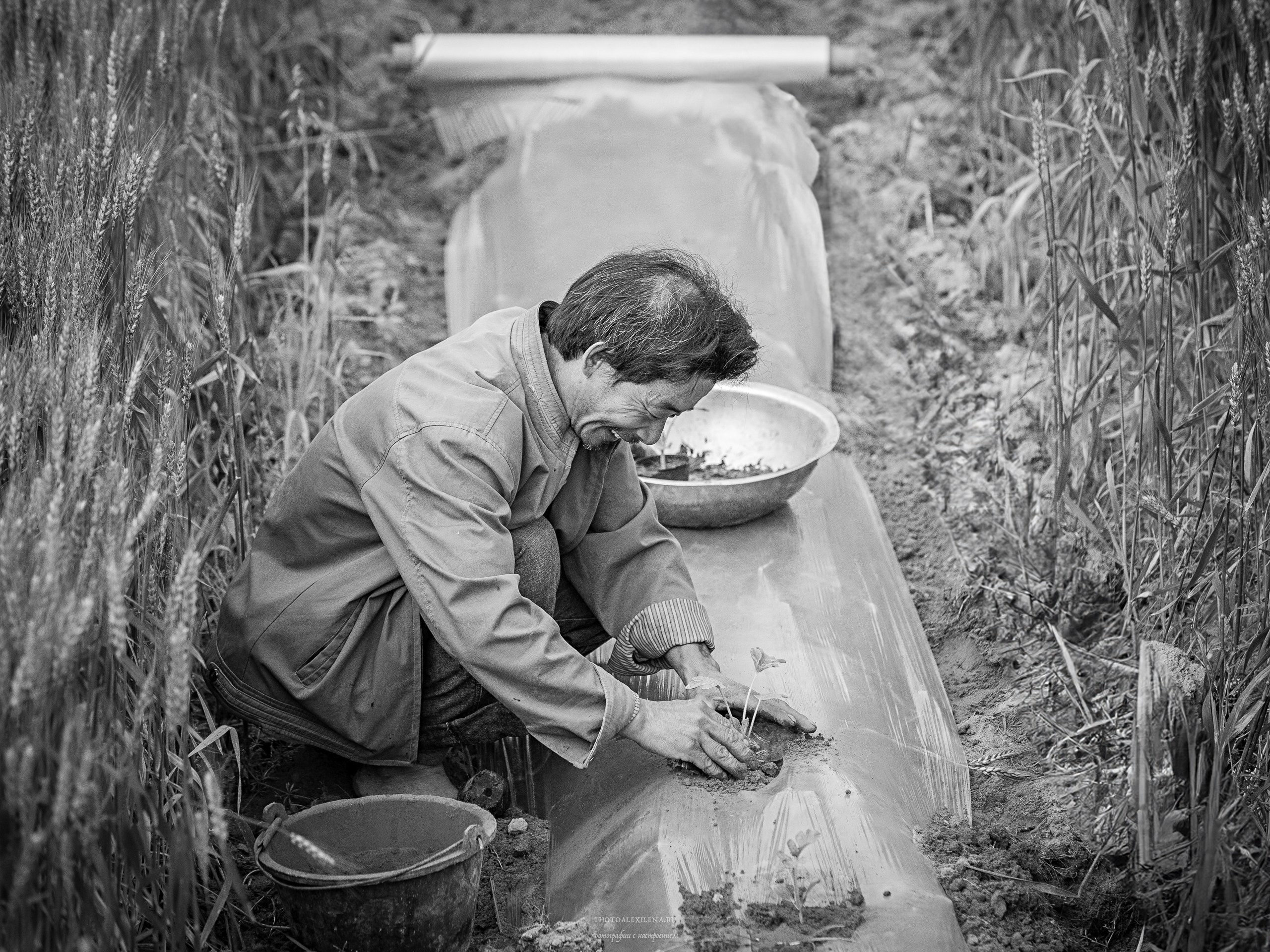 Решающий момент. Авторские стильные фотокартины
