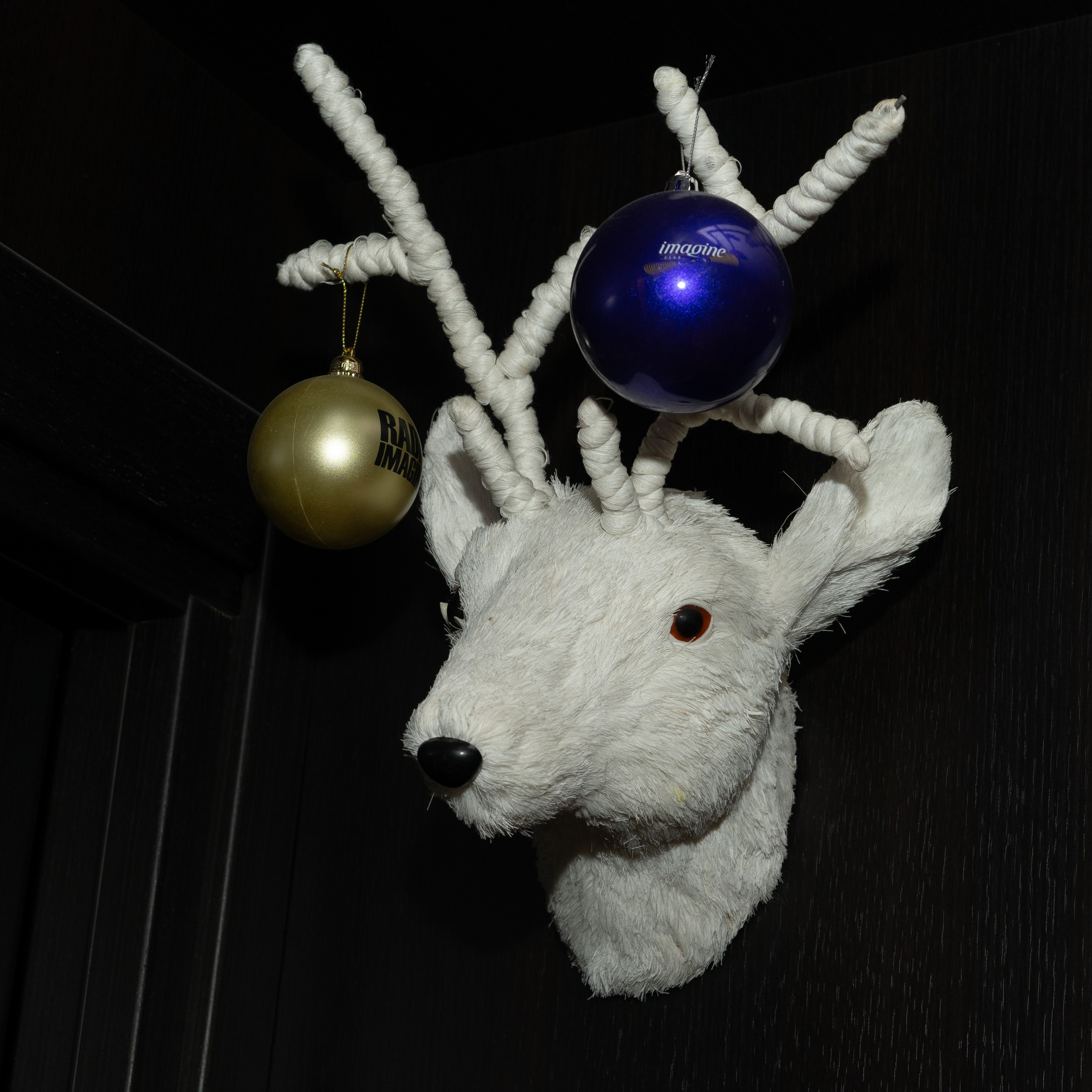 The Legendary Flower Punk — выступление в магазине пластинок. Фотограф Олег Колногоров