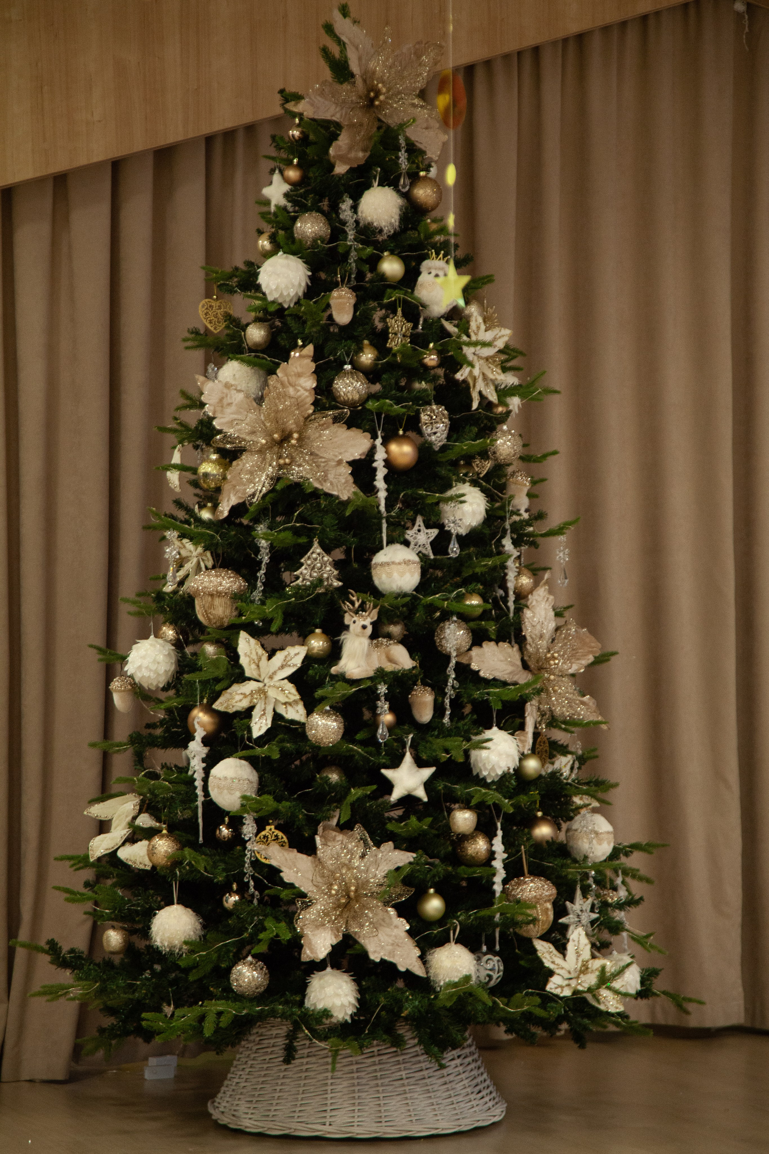 Новогодний утренник. 17.12.24. Профессиональное фото в Казани: от идеи до результата. Фотограф Яна Мур