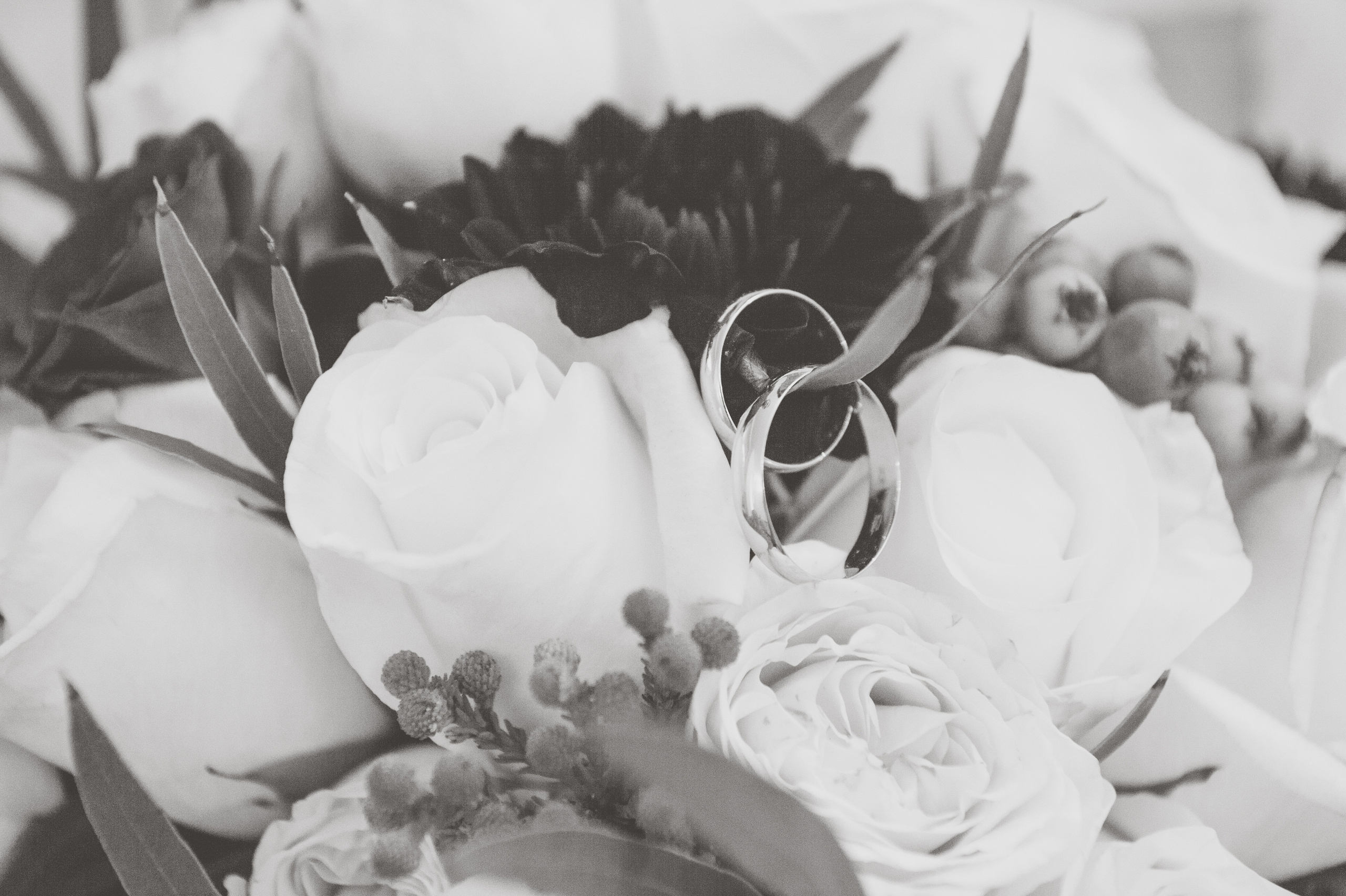 Катя и Саша, 26.09.2015. Айгуль Лотфуллина. #АйгульТВ. Фотограф в Адлере и Сочи, Красной Поляне