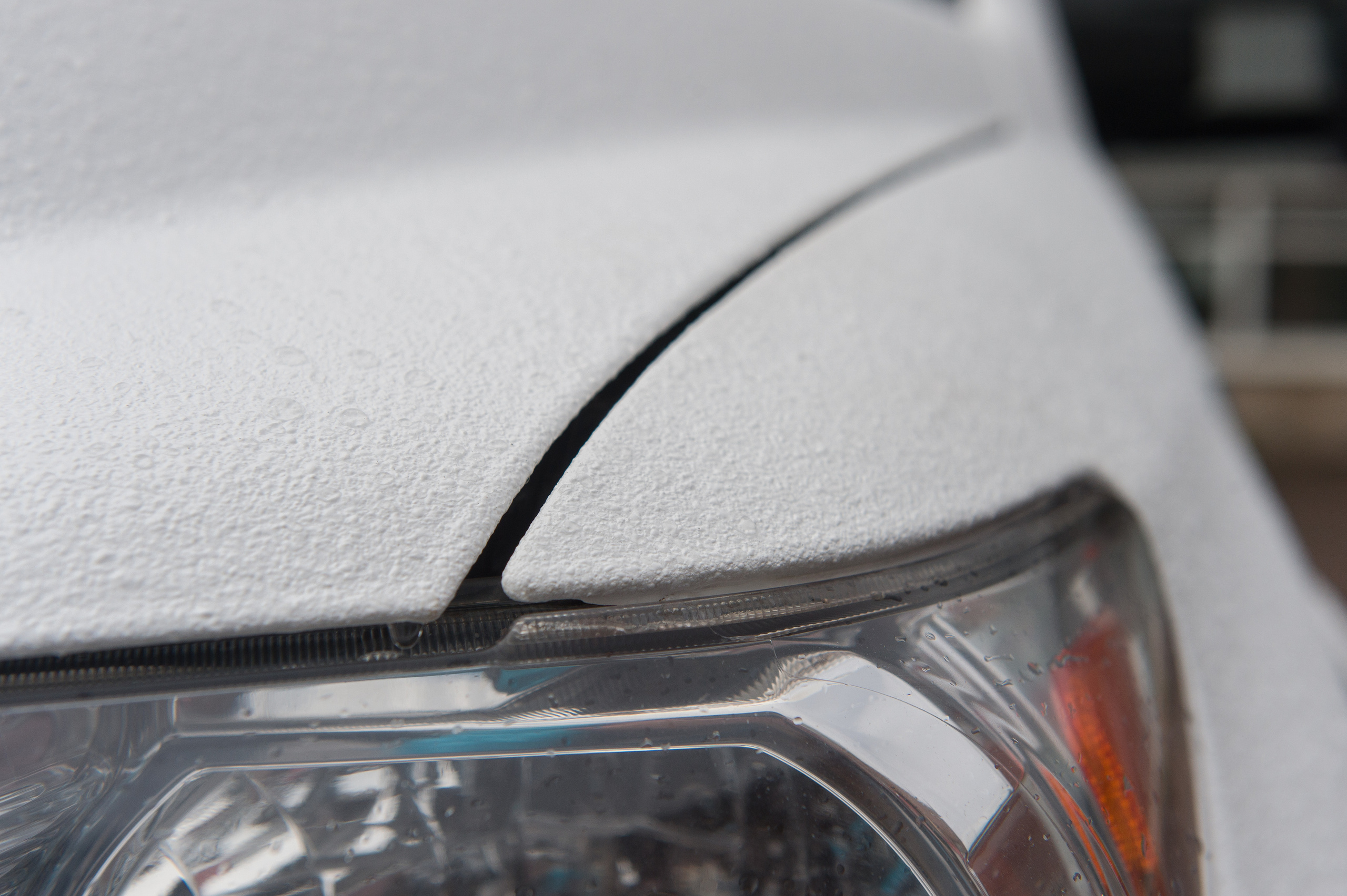 Съемка для компании Мангуста. Айгуль Лотфуллина. #АйгульТВ. Фотограф в Адлере и Сочи, Красной Поляне