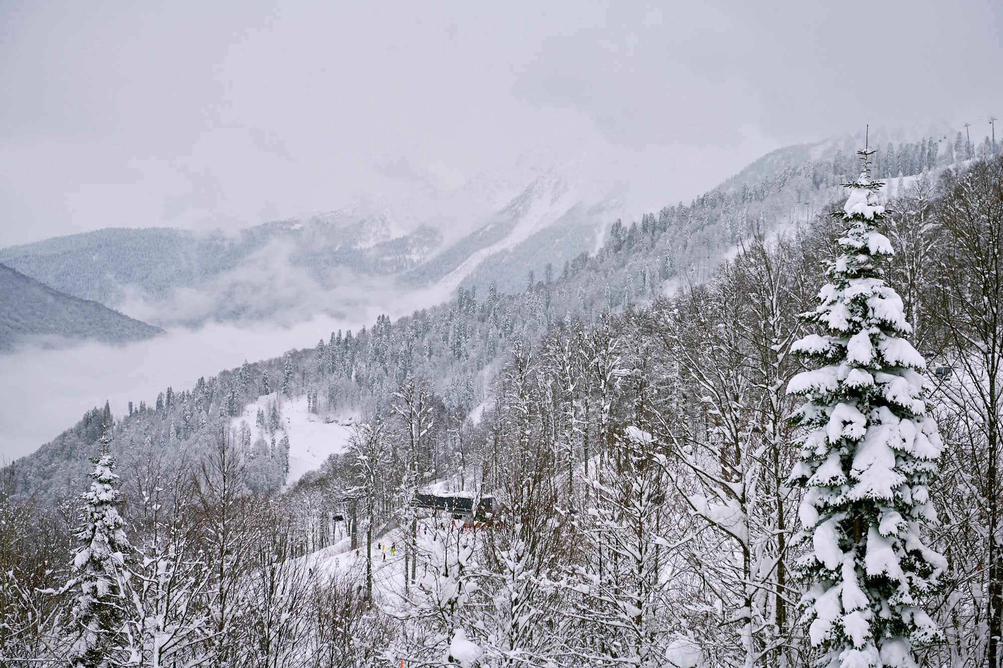 Айгуль Лотфуллина. #АйгульТВ. Фотограф в Адлере и Сочи, Красной Поляне