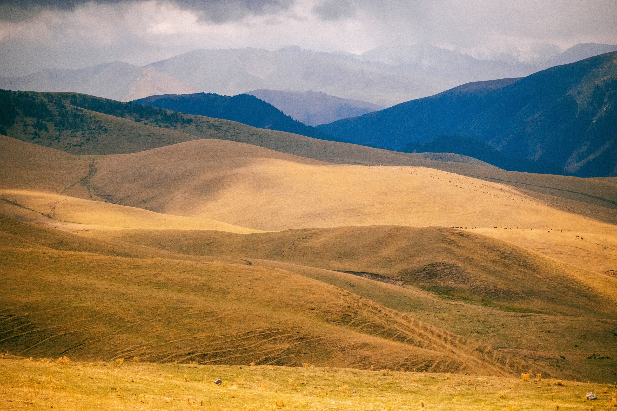 Поездка на плато Ассы и за пределами. Экскурсии и туры по Алматы
